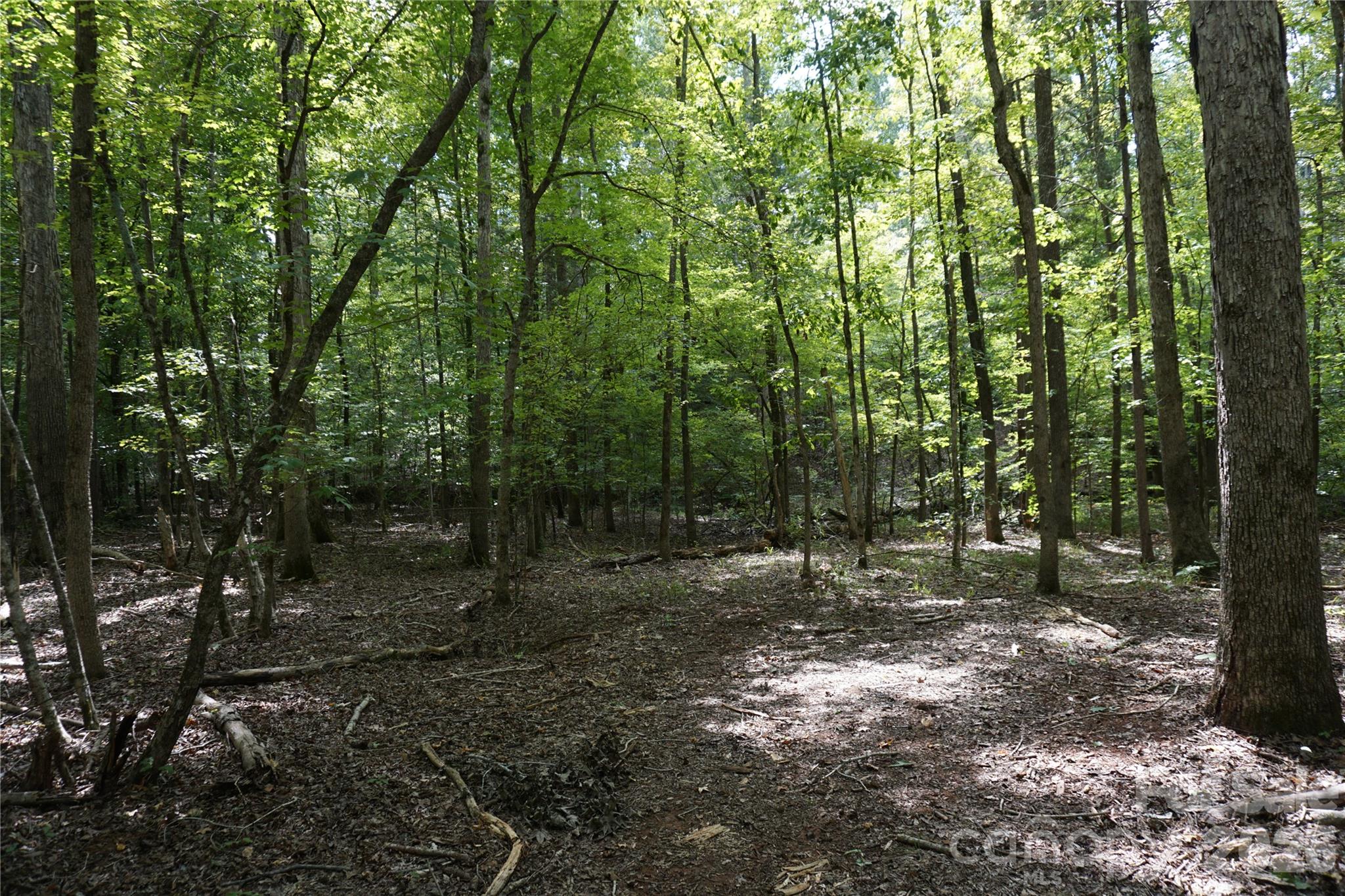 15+/- Ac Lot 2 Parson Road Property Photo 23