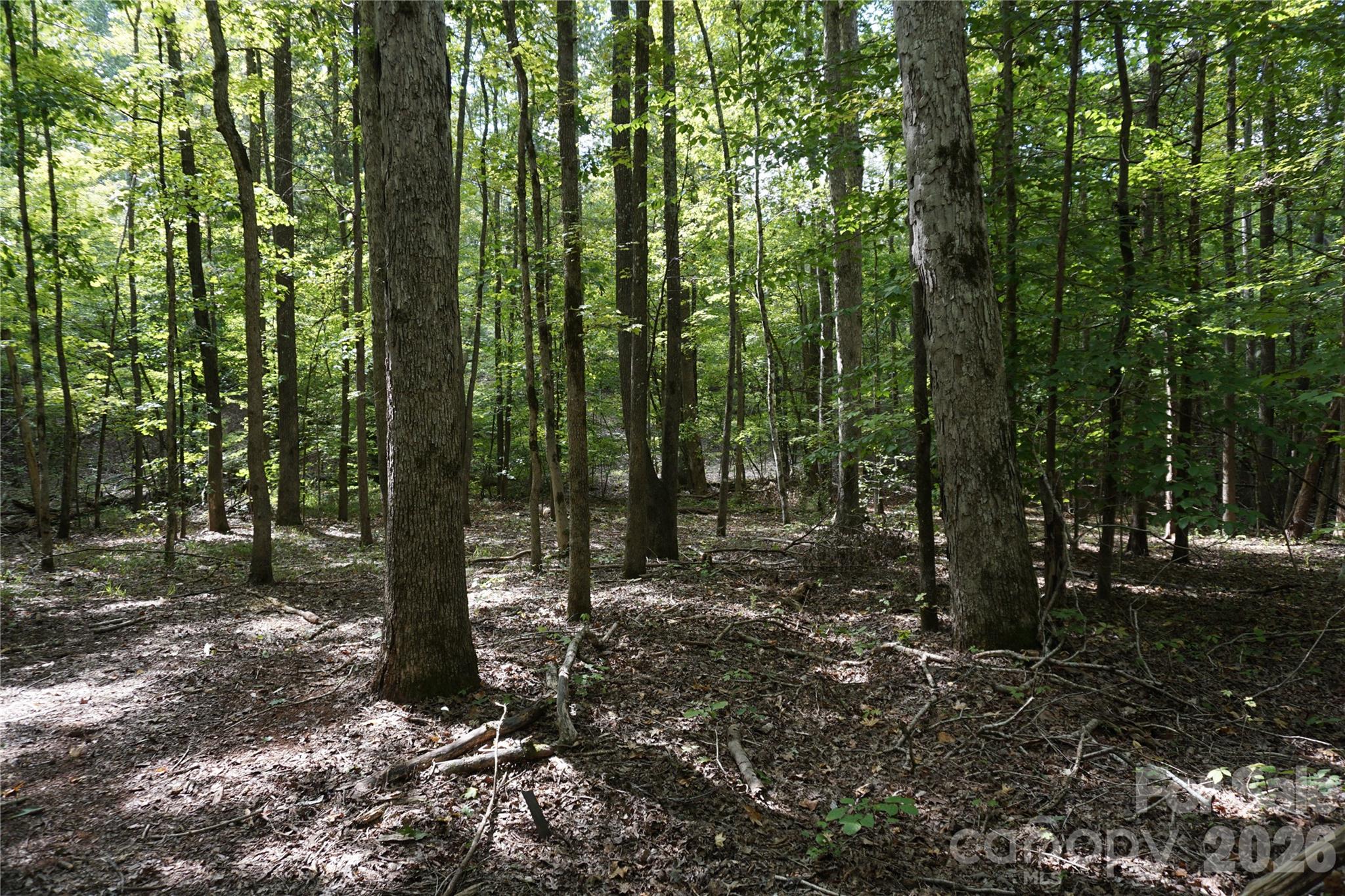 15+/- Ac Lot 2 Parson Road Property Photo 24