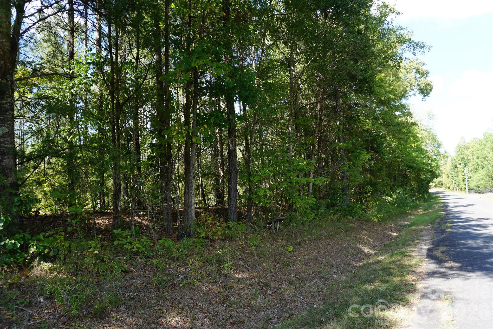 15+/- Ac Lot 2 Parson Road Property Photo 25