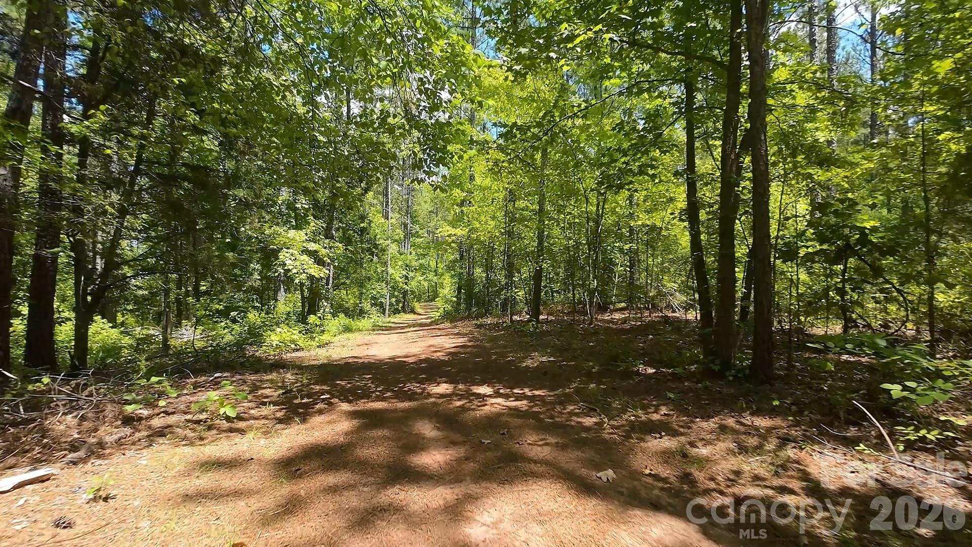 12+/- Ac Parson Road 3 Property Photo 1