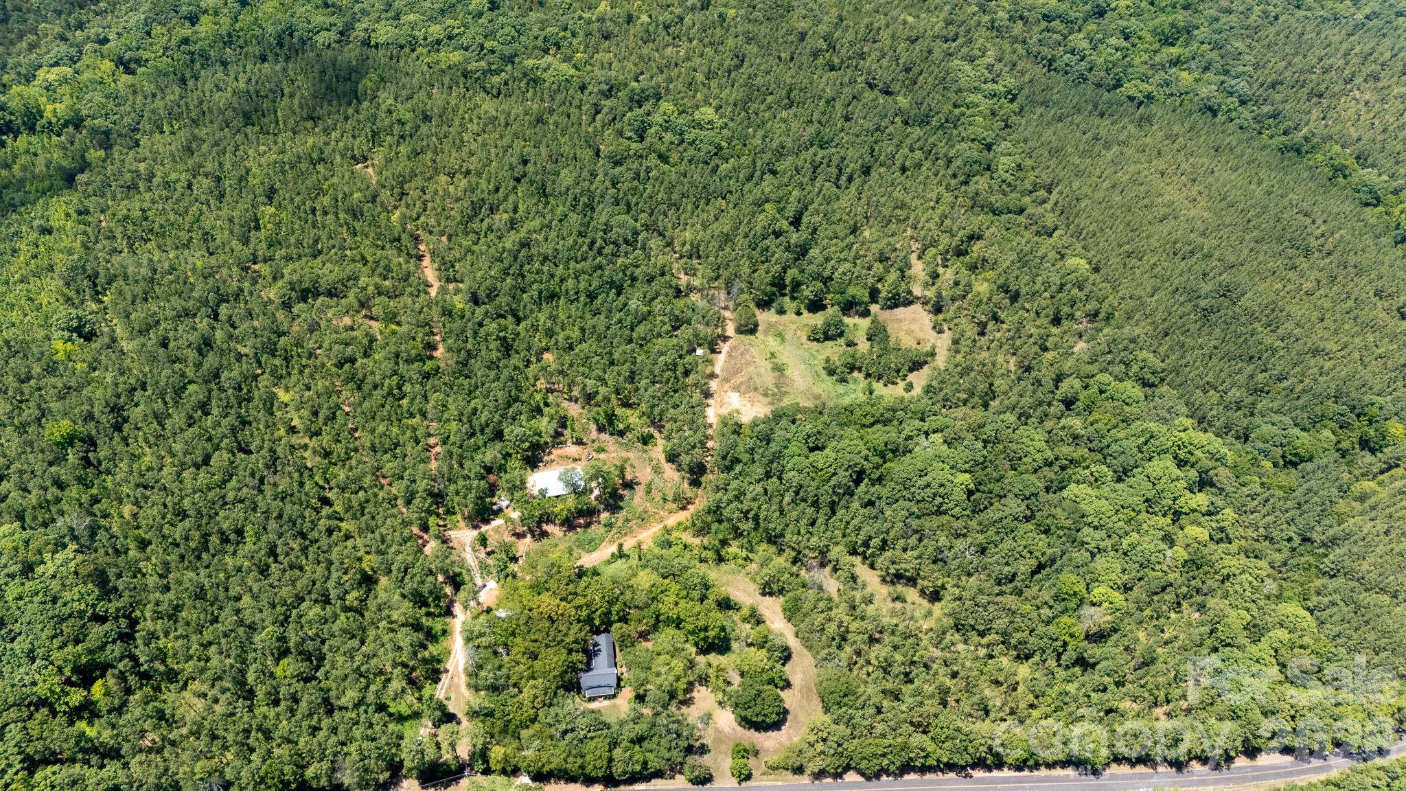 12+/- Ac Parson Road 3 Property Photo 2