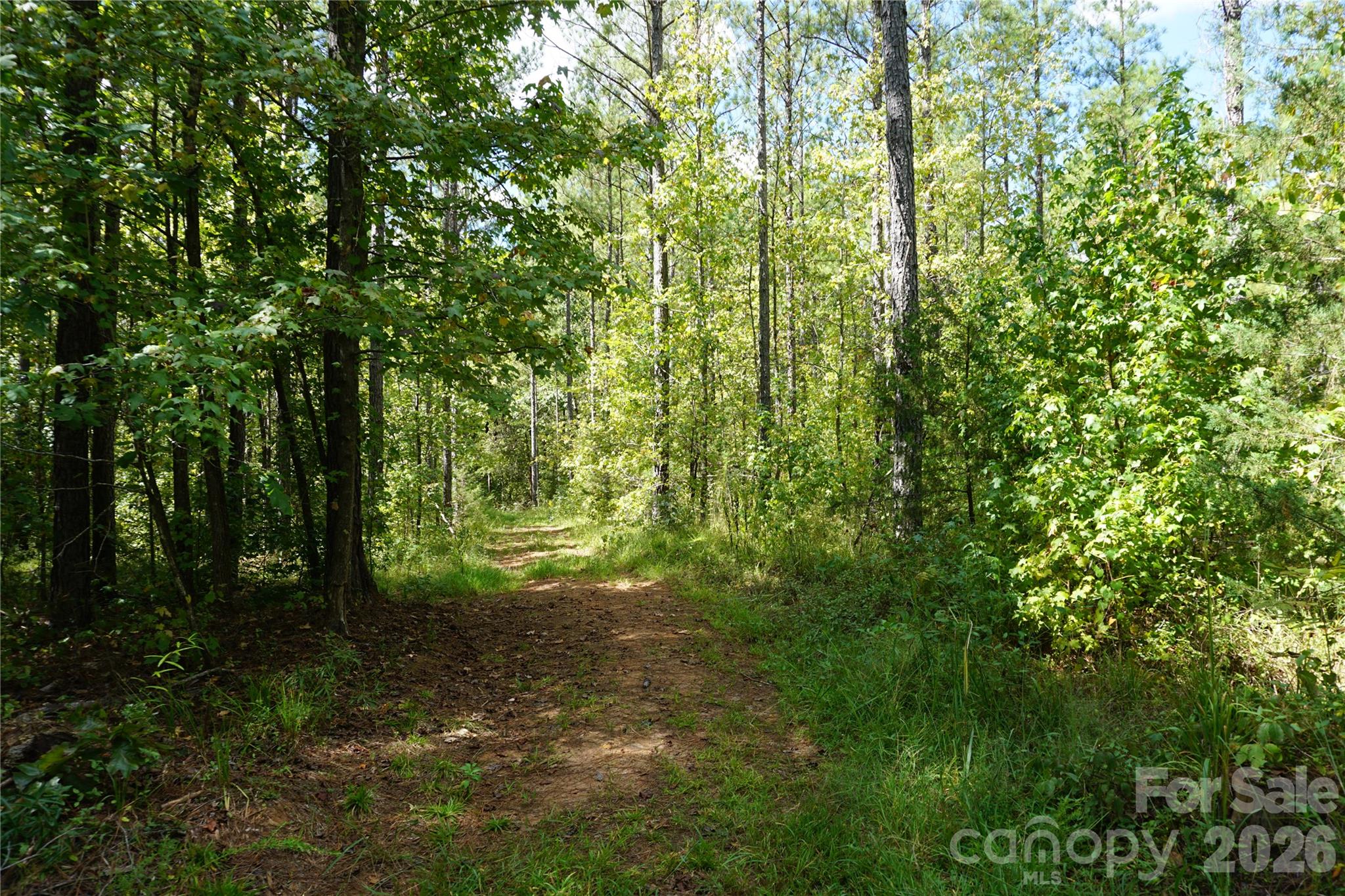 12+/- Ac Parson Road 3 Property Photo 2