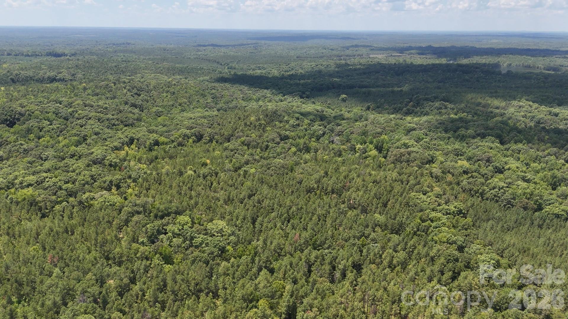 12+/- Ac Parson Road 3 Property Photo 3