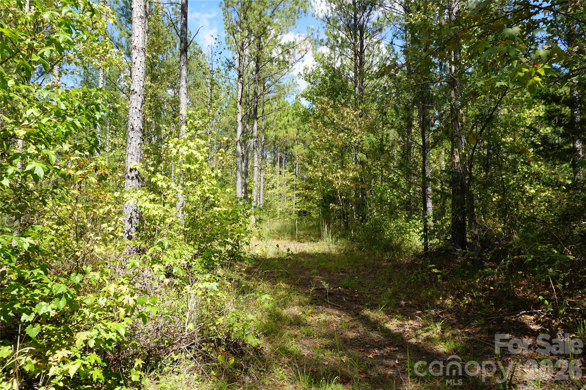 12+/- Ac Parson Road 3 Property Photo 3