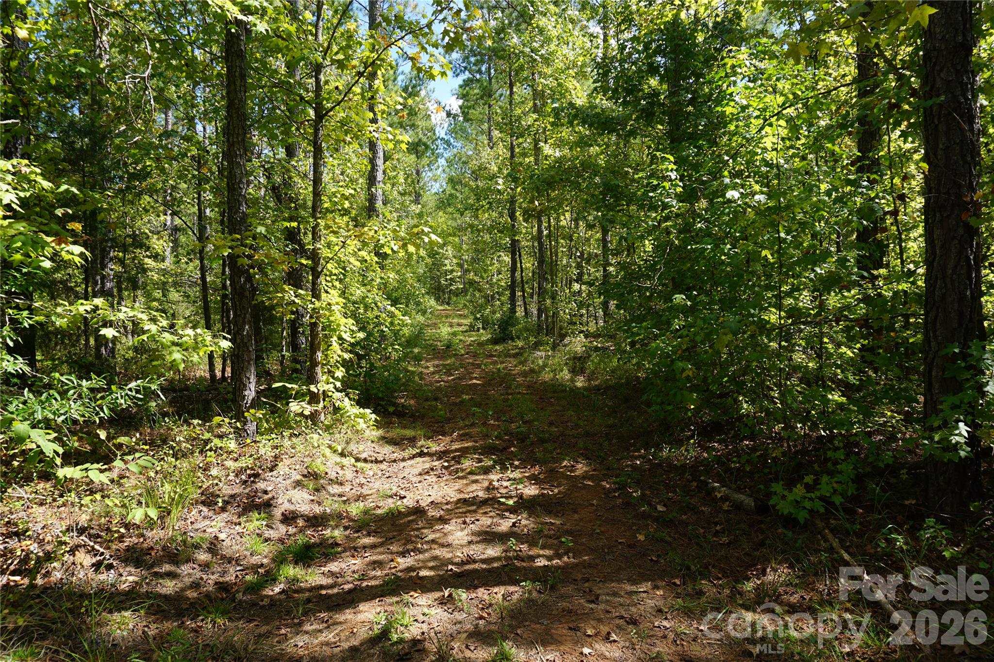 12+/- Ac Parson Road 3 Property Photo 4