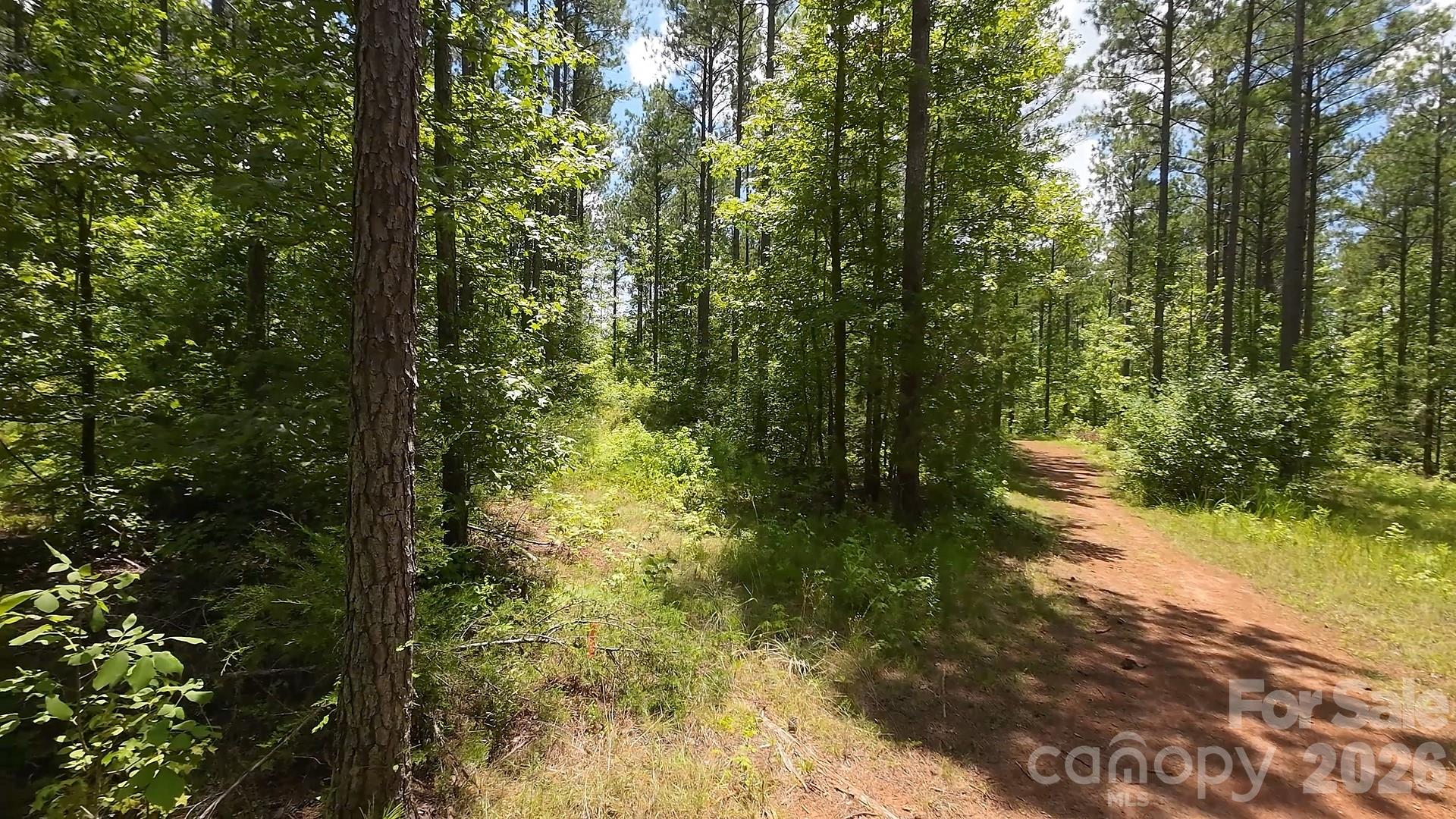 12+/- Ac Parson Road 3 Property Photo 5