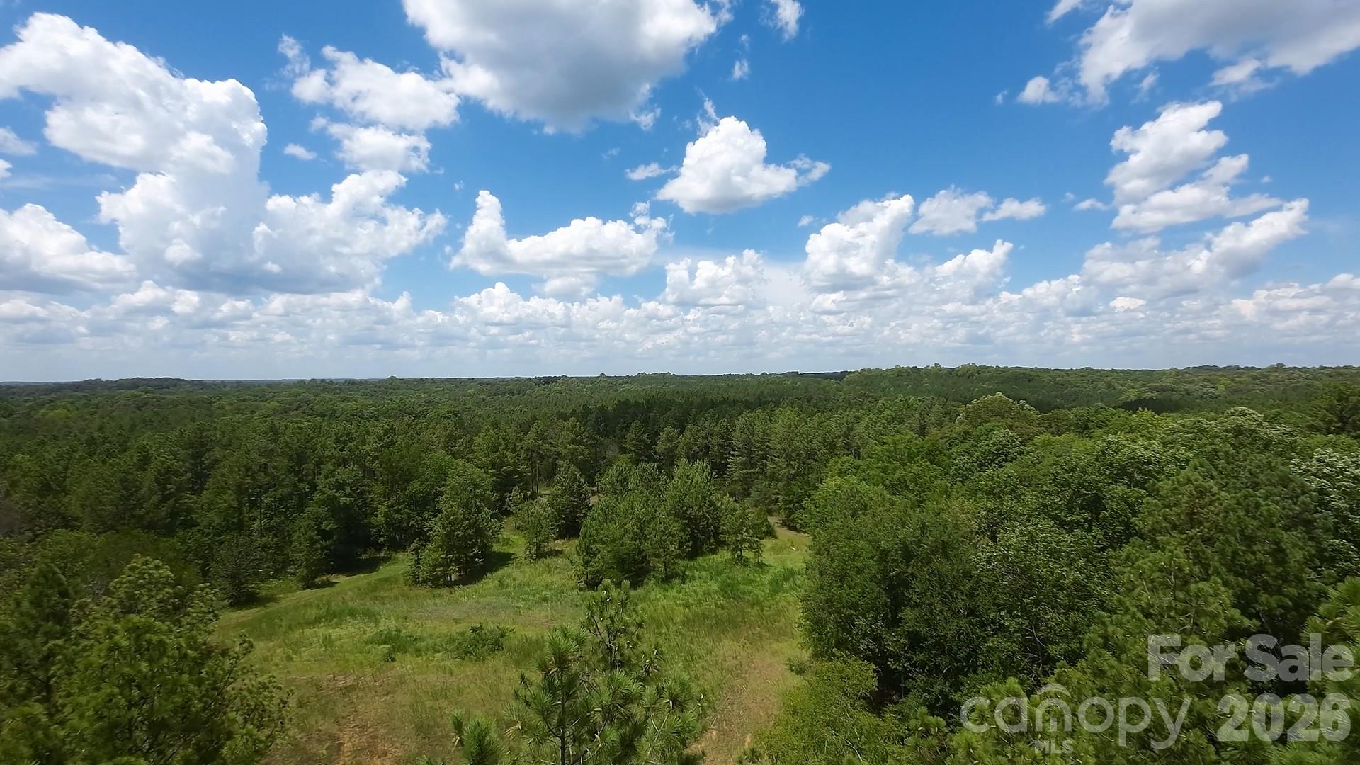 12+/- Ac Parson Road 3 Property Photo 6