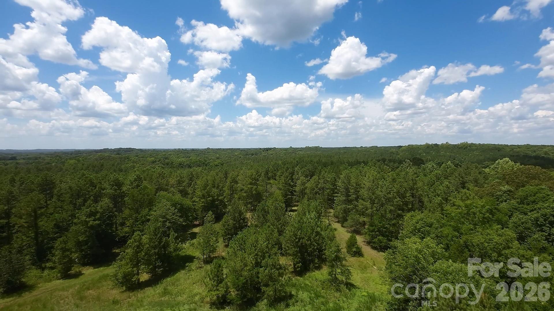12+/- Ac Parson Road 3 Property Photo 7