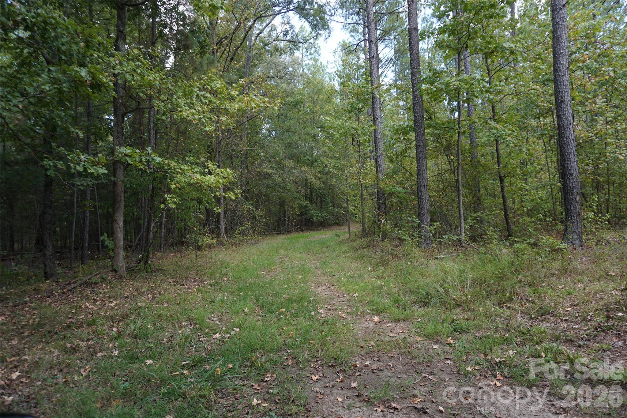 12+/- Ac Parson Road 3 Property Photo 9