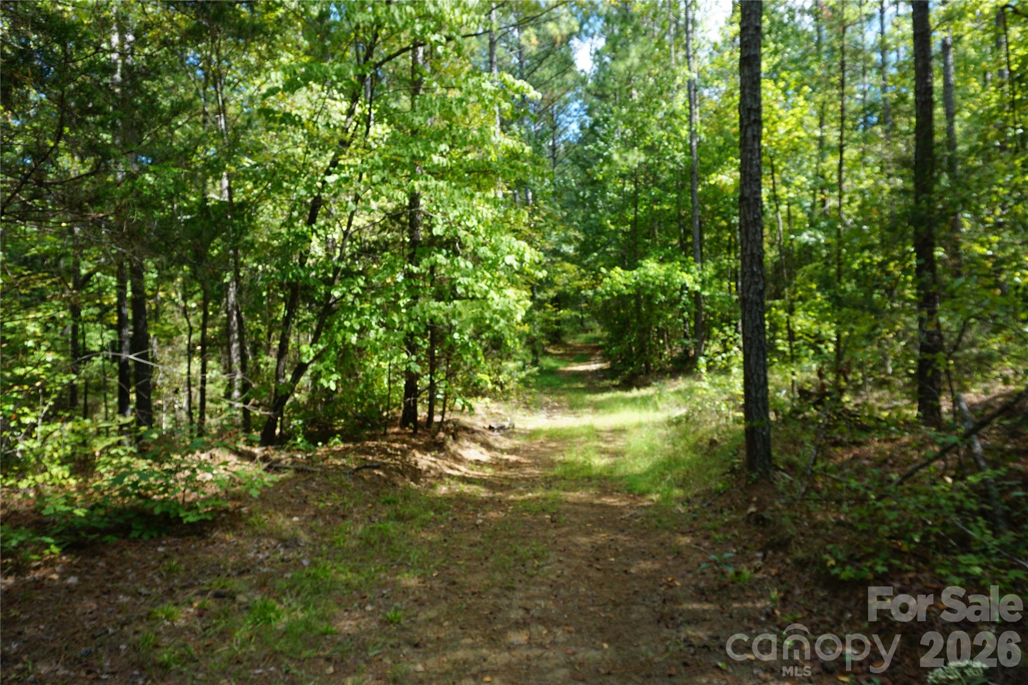 12+/- Ac Parson Road 3 Property Photo 12