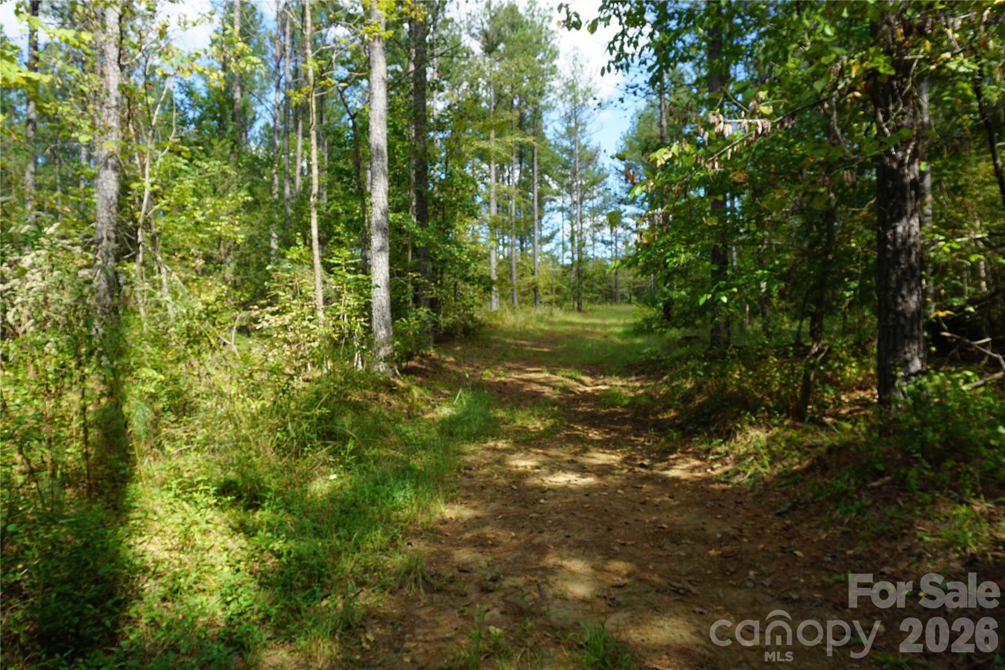 12+/- Ac Parson Road 3 Property Photo 14