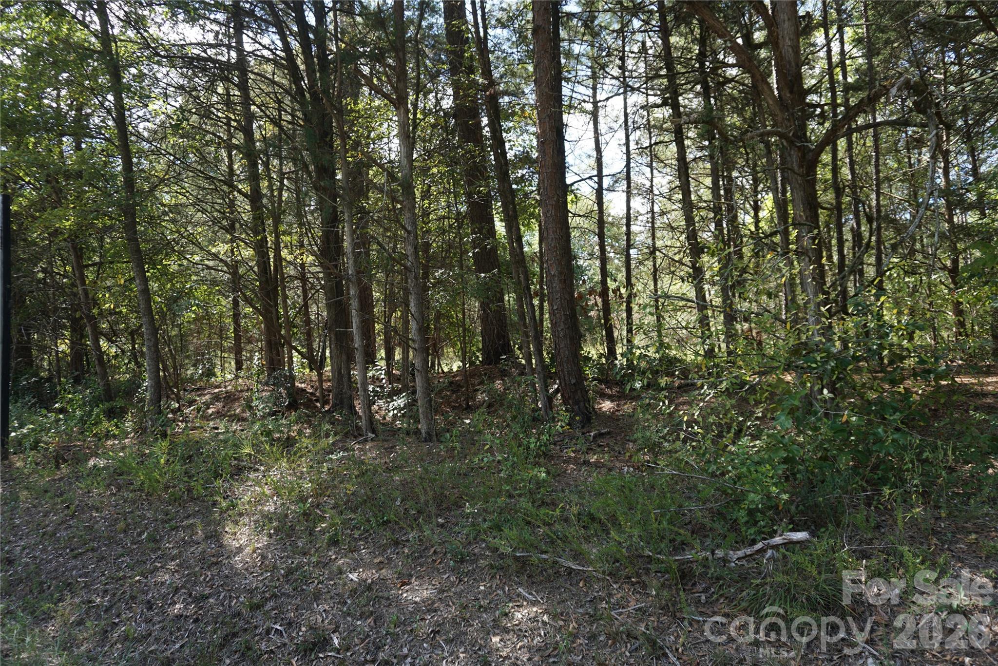 12+/- Ac Parson Road 3 Property Photo 16