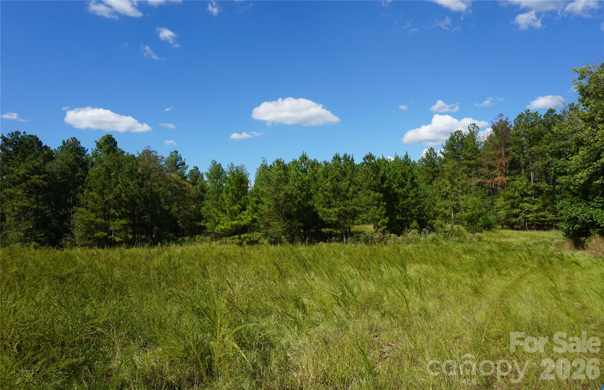 18+/- Ac Lot 4 Parson Road Property Photo 1