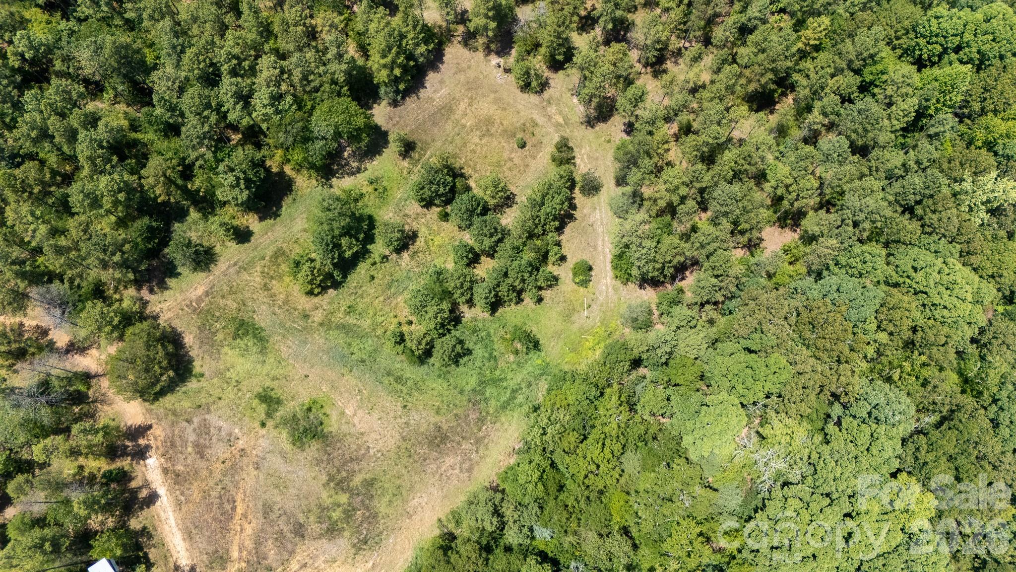 18+/- Ac Lot 4 Parson Road Property Photo 3