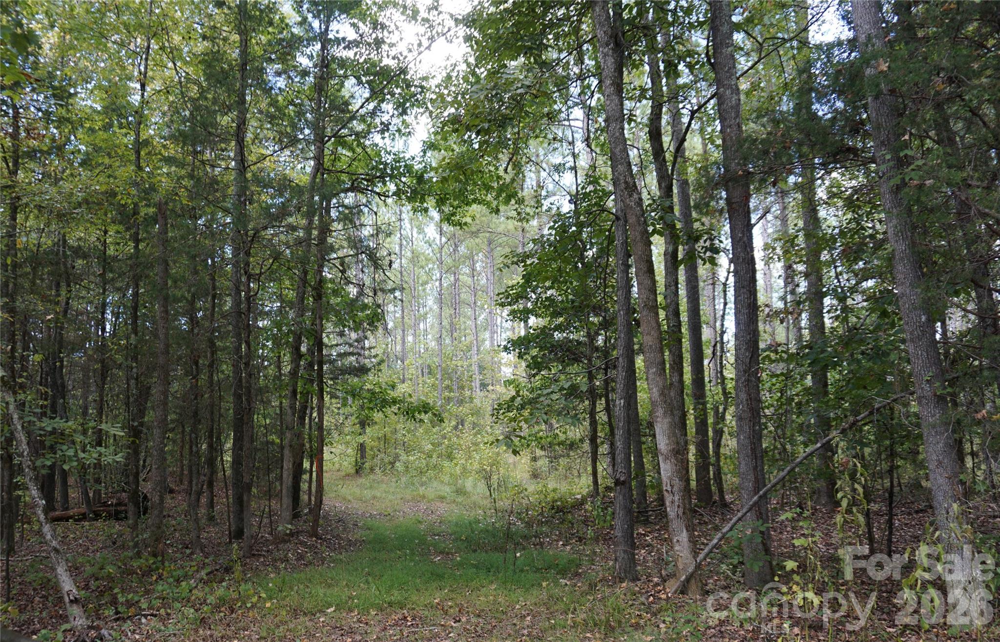 18+/- Ac Lot 4 Parson Road Property Photo 10