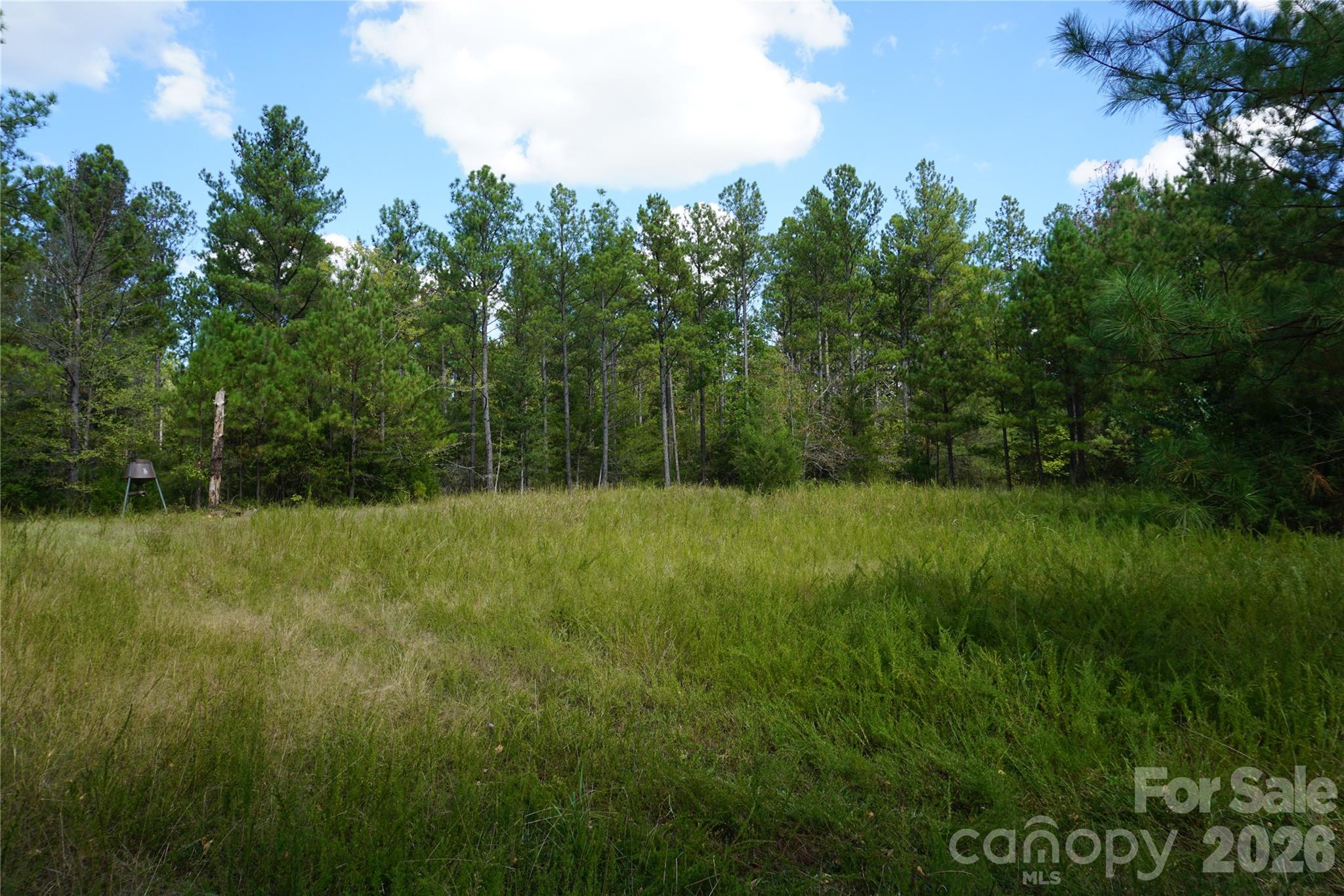 18+/- Ac Lot 4 Parson Road Property Photo 11