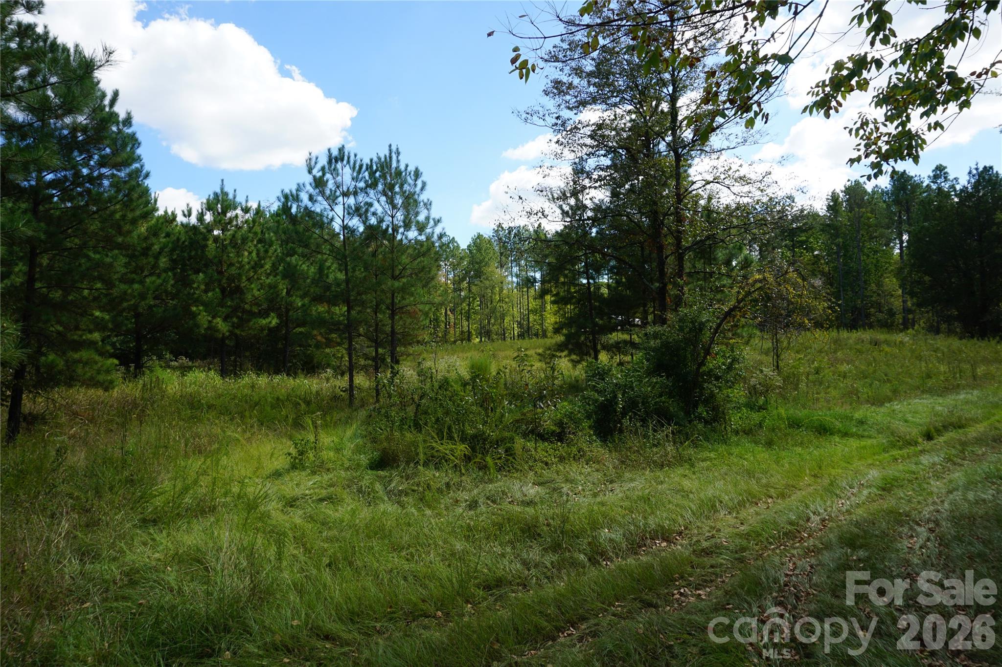 18+/- Ac Lot 4 Parson Road Property Photo 12