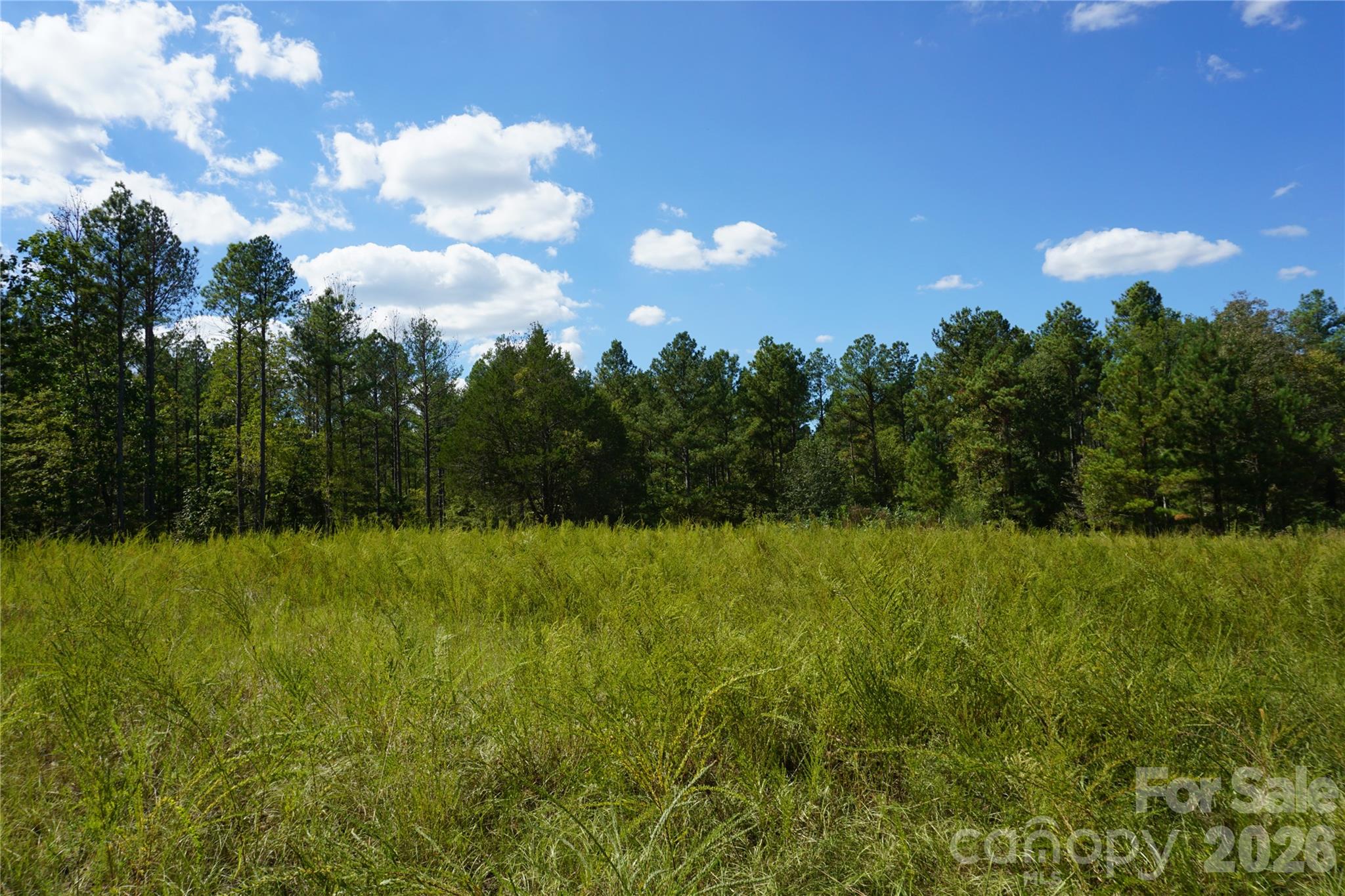 18+/- Ac Lot 4 Parson Road Property Photo 13