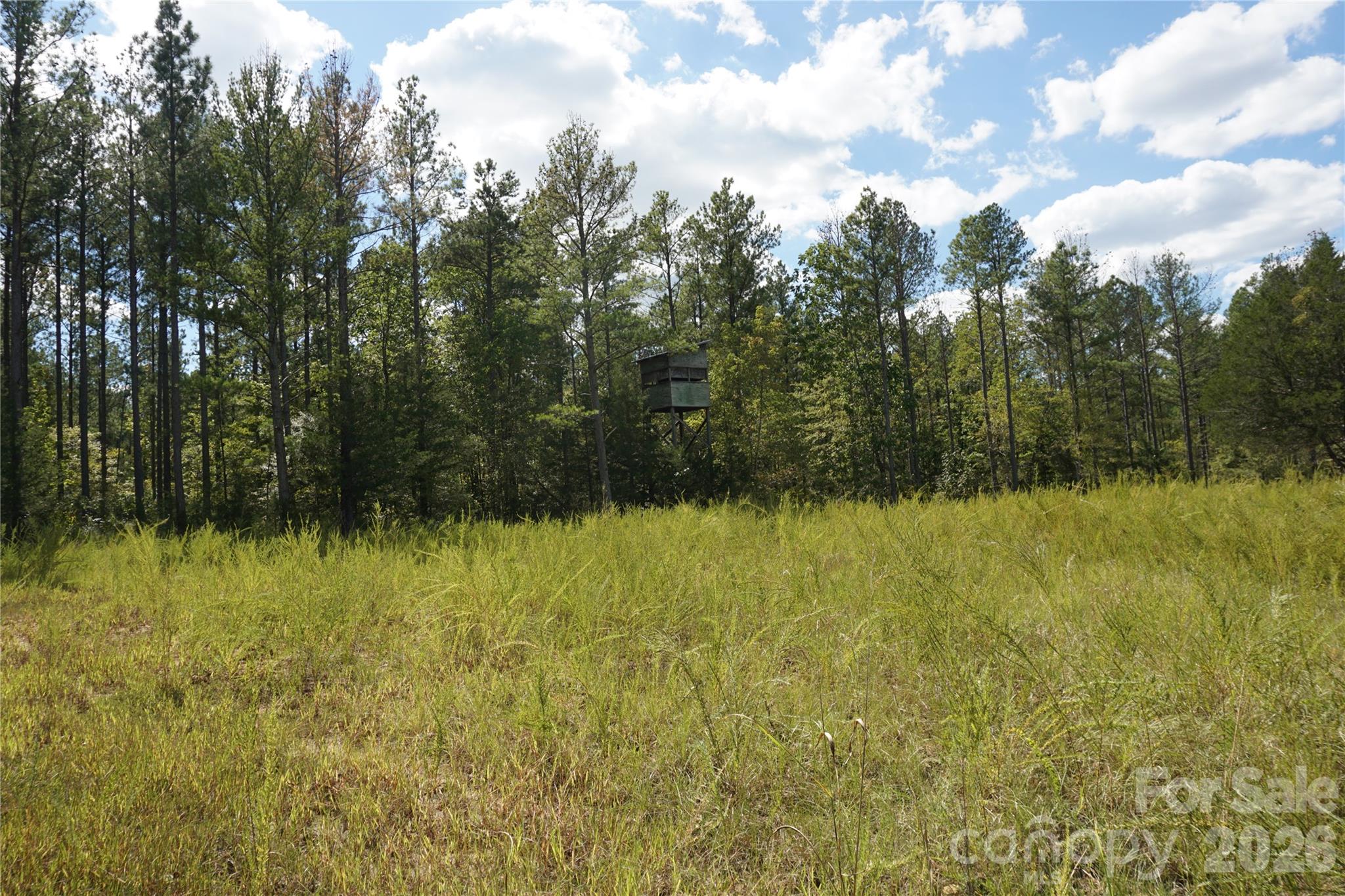 18+/- Ac Lot 4 Parson Road Property Photo 14