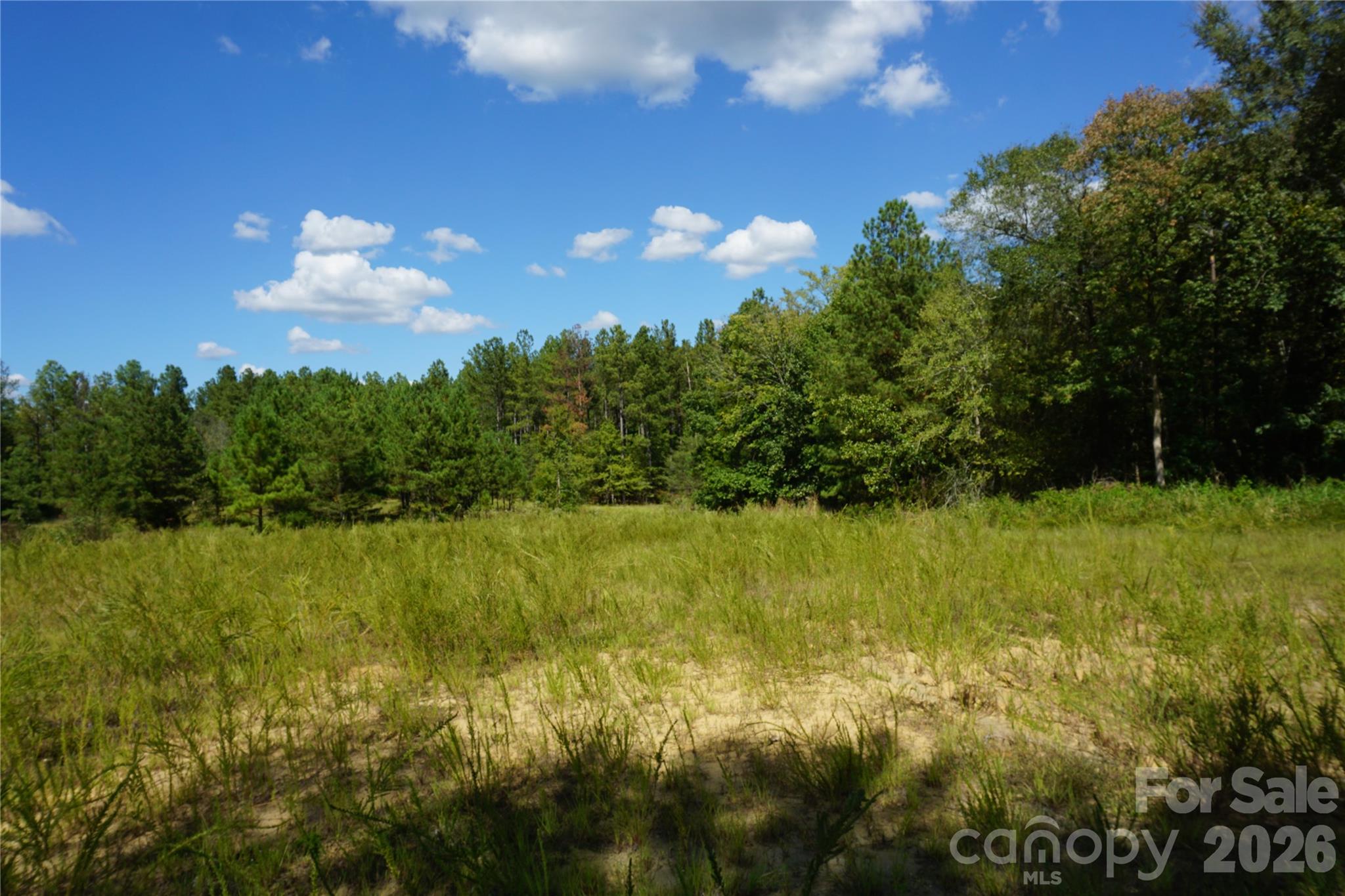 18+/- Ac Lot 4 Parson Road Property Photo 15