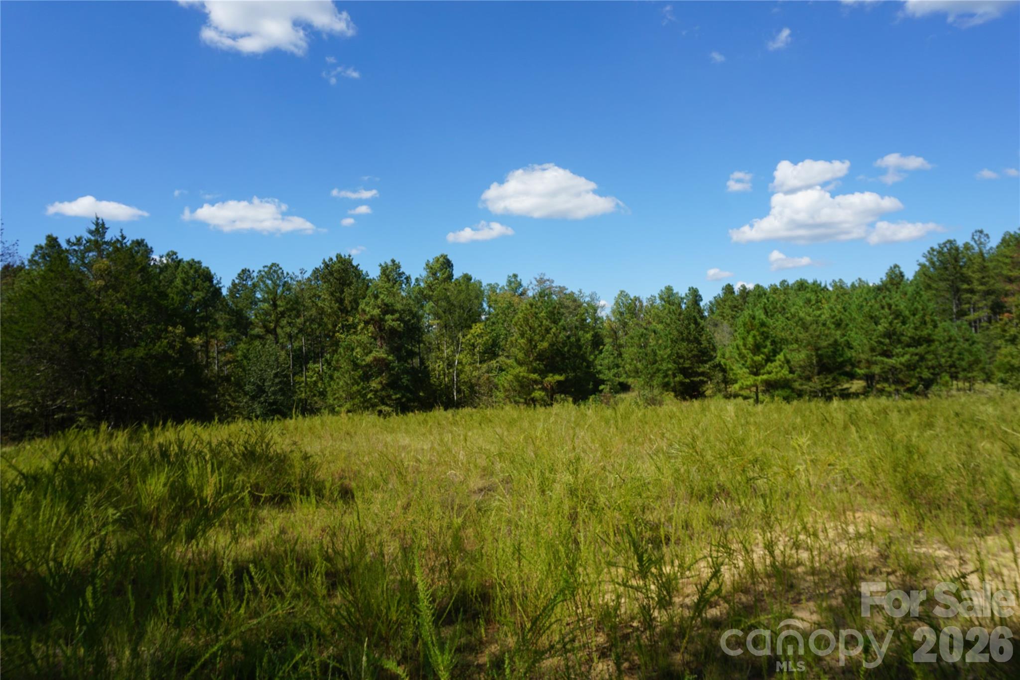 18+/- Ac Lot 4 Parson Road Property Photo 16