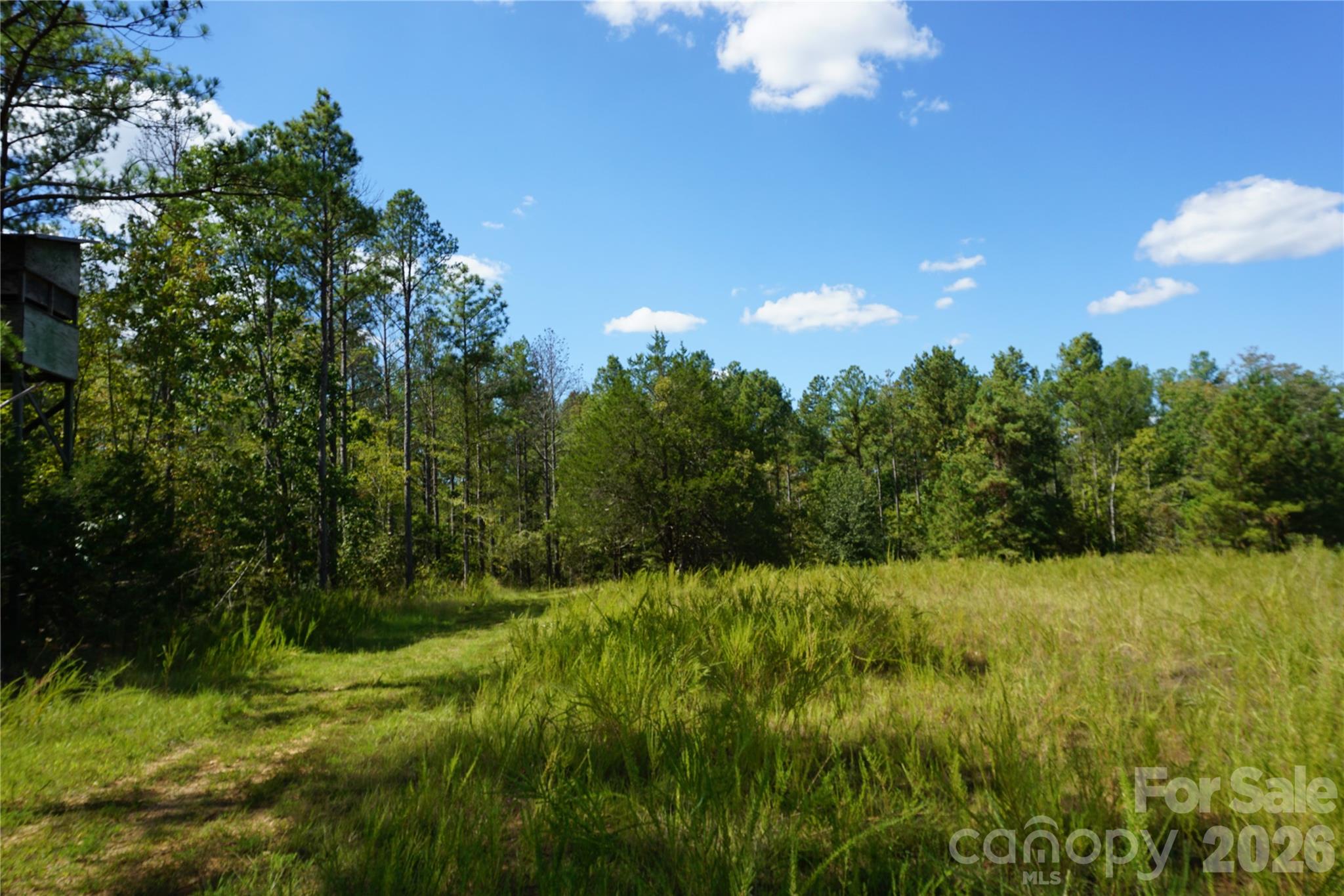 18+/- Ac Lot 4 Parson Road Property Photo 17