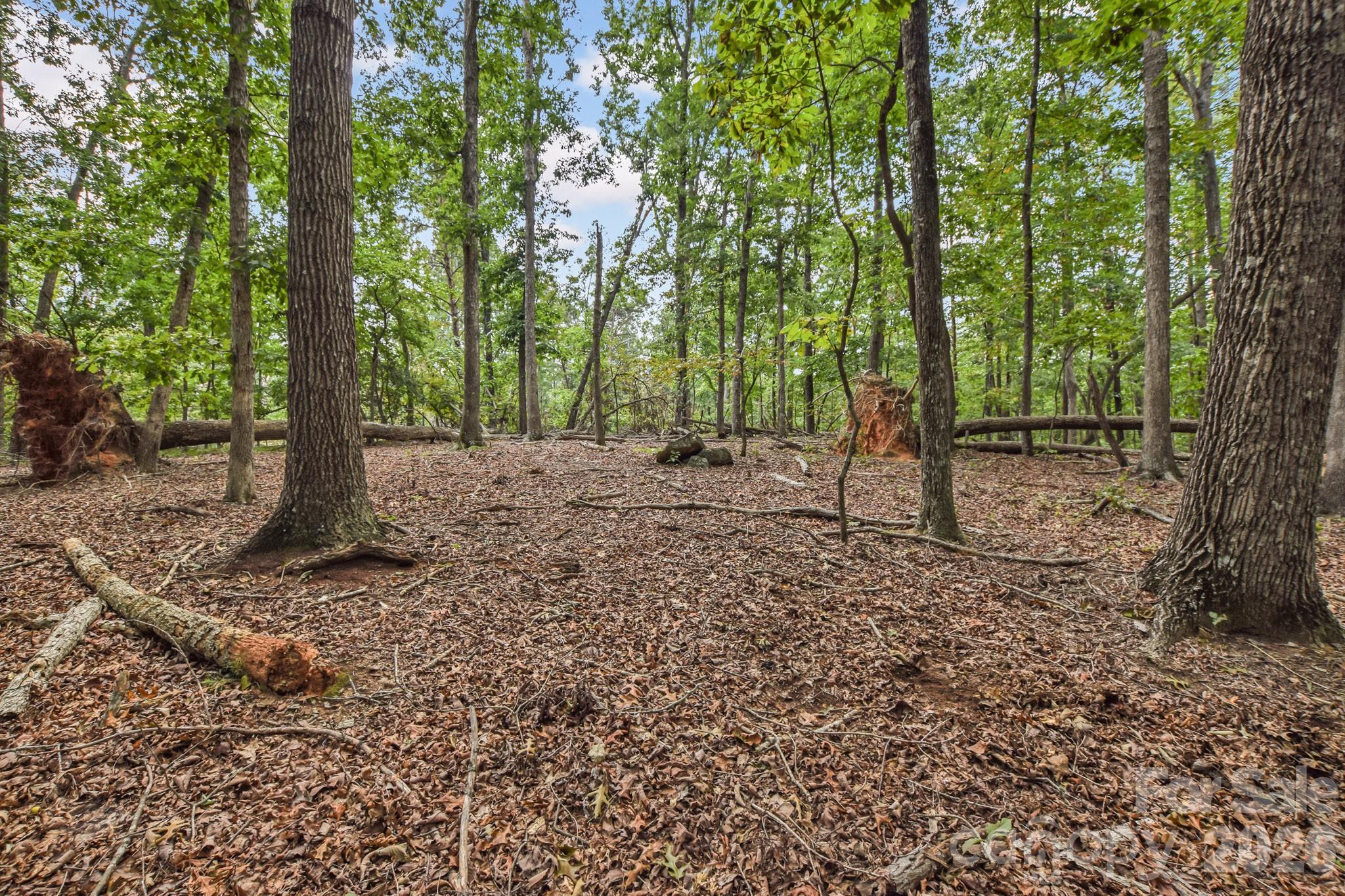 99999 Lail Road Property Photo 10