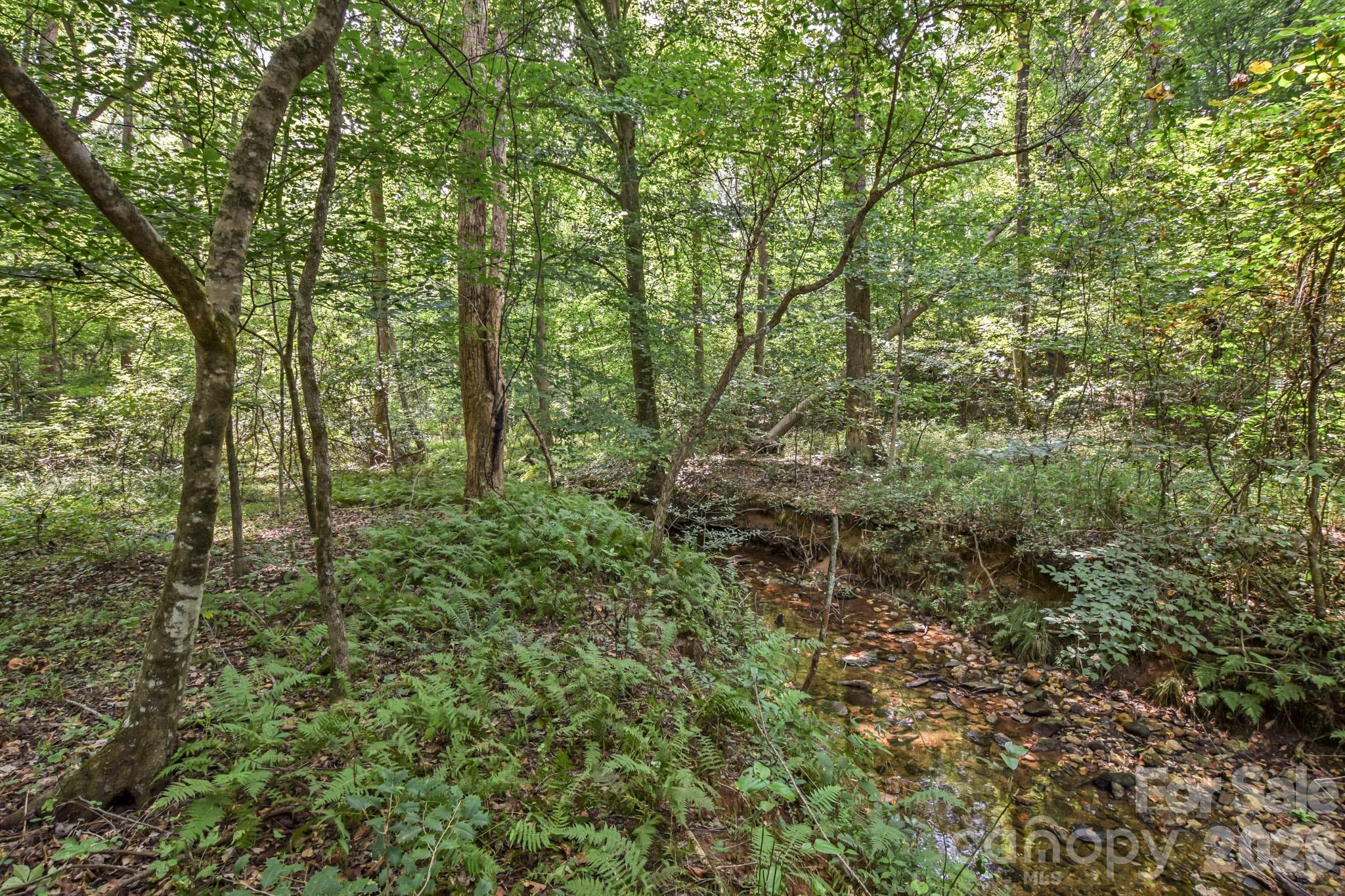 99999 Lail Road Property Photo 11