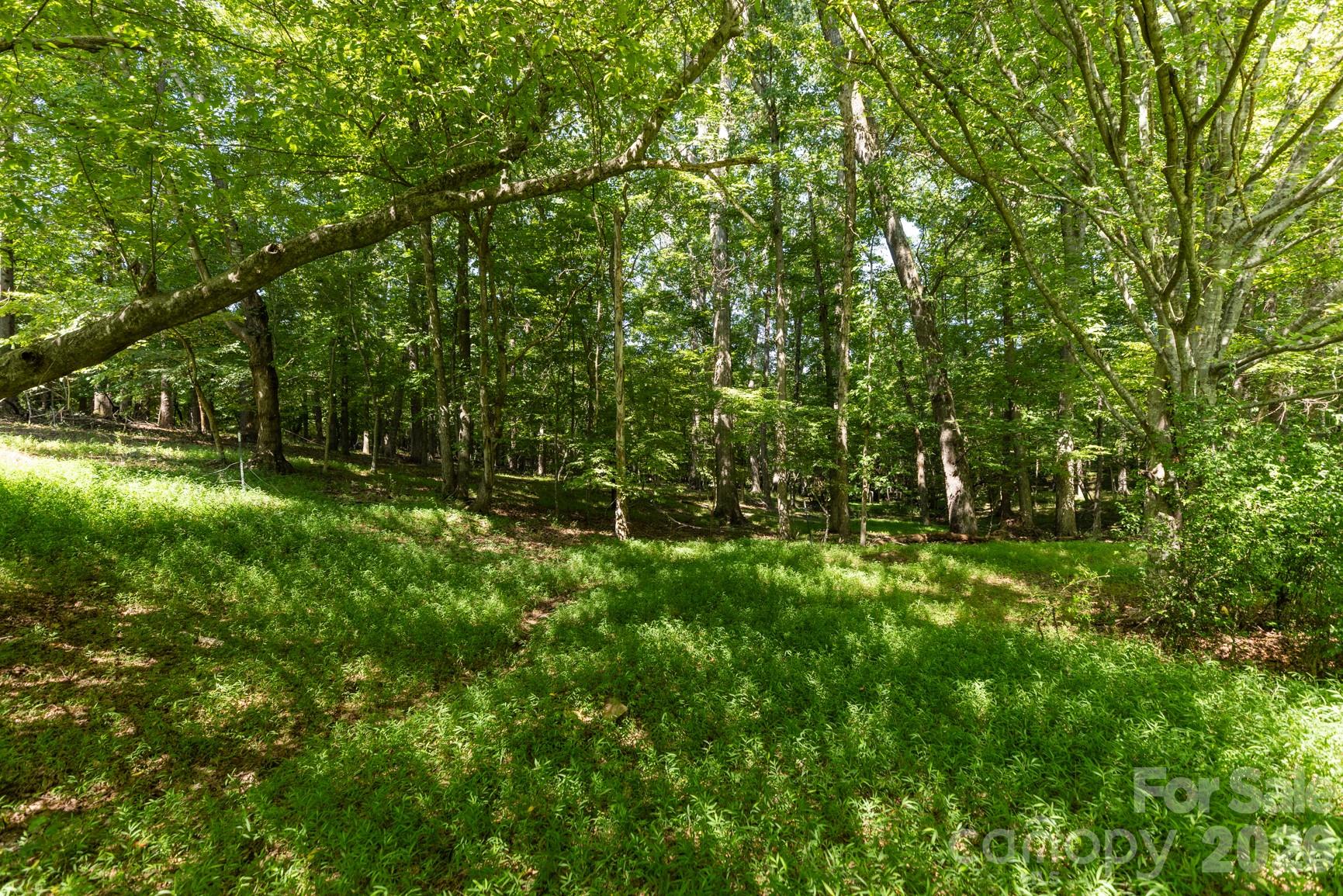 220 Collins Road Property Photo 38