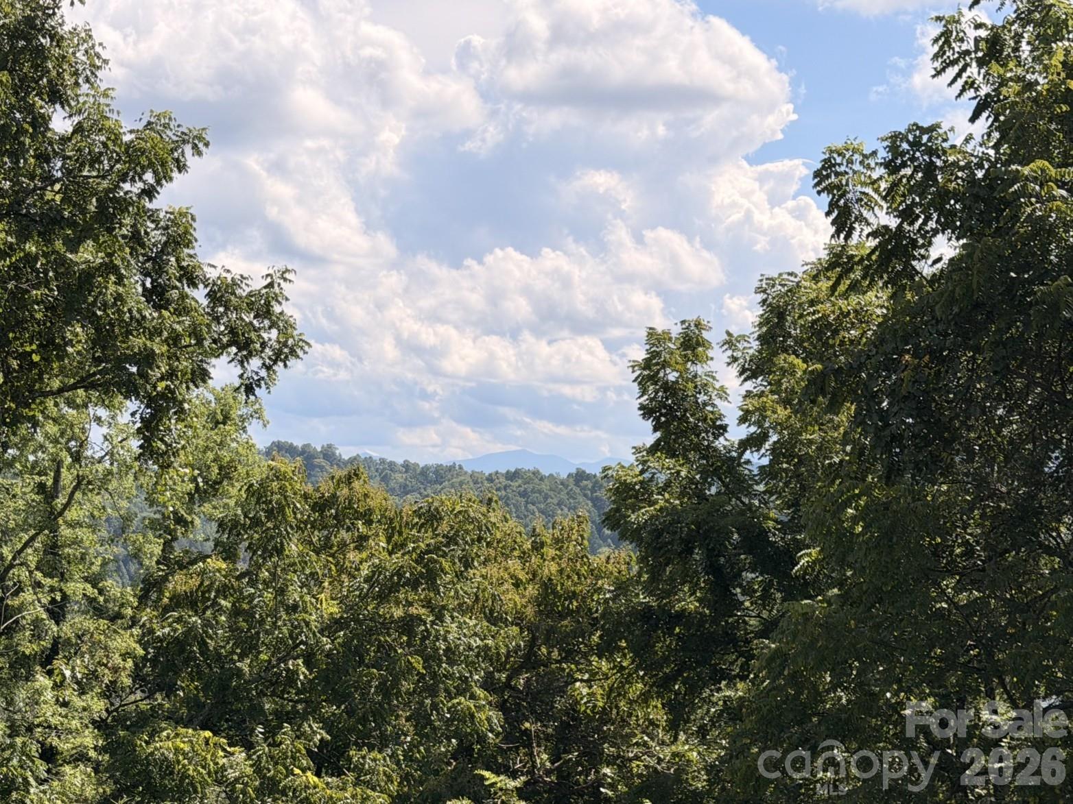 1057 Skyway Drive Property Photo 3