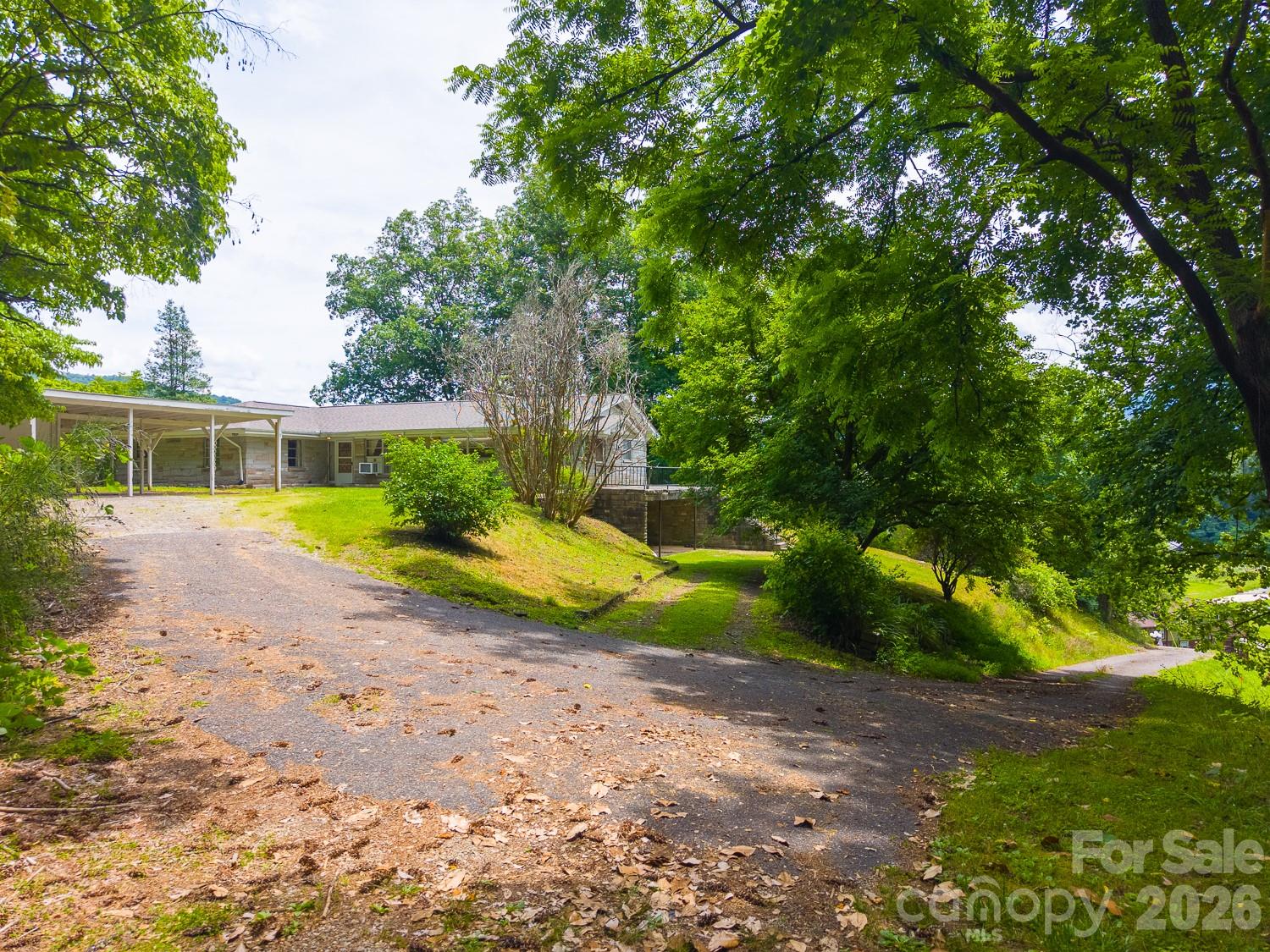222 Mitchell Mountain Road Property Photo 3