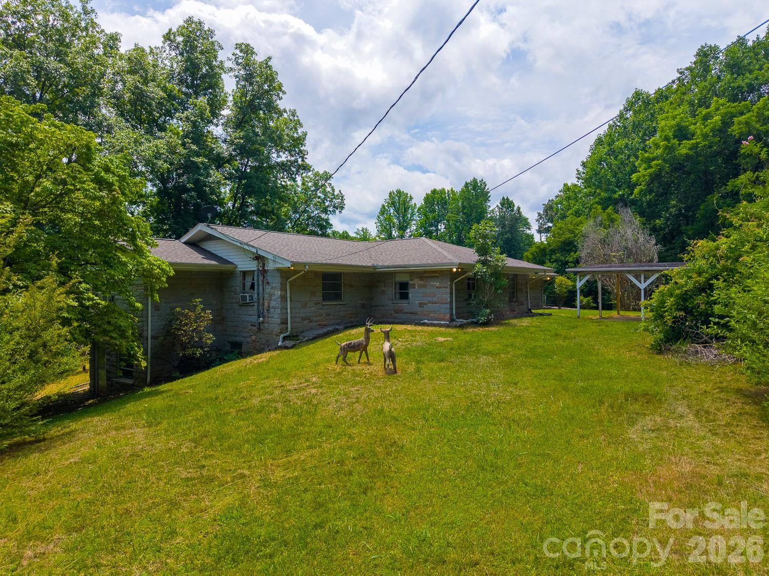 222 Mitchell Mountain Road Property Photo 4
