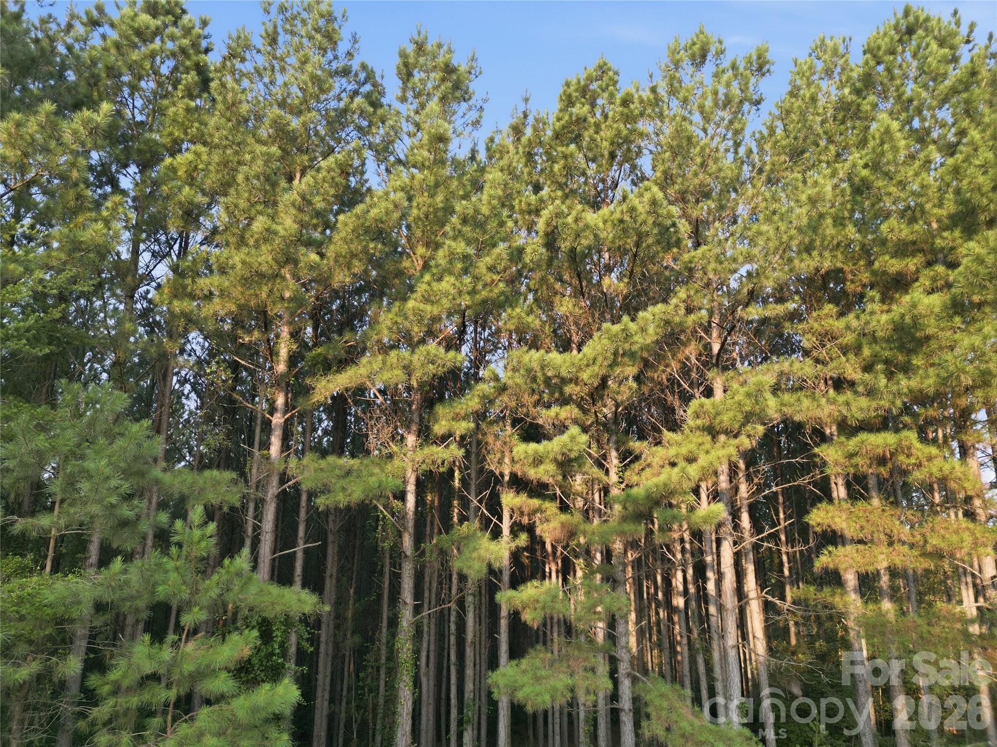 105 Stoney Brook Trail Property Photo 3