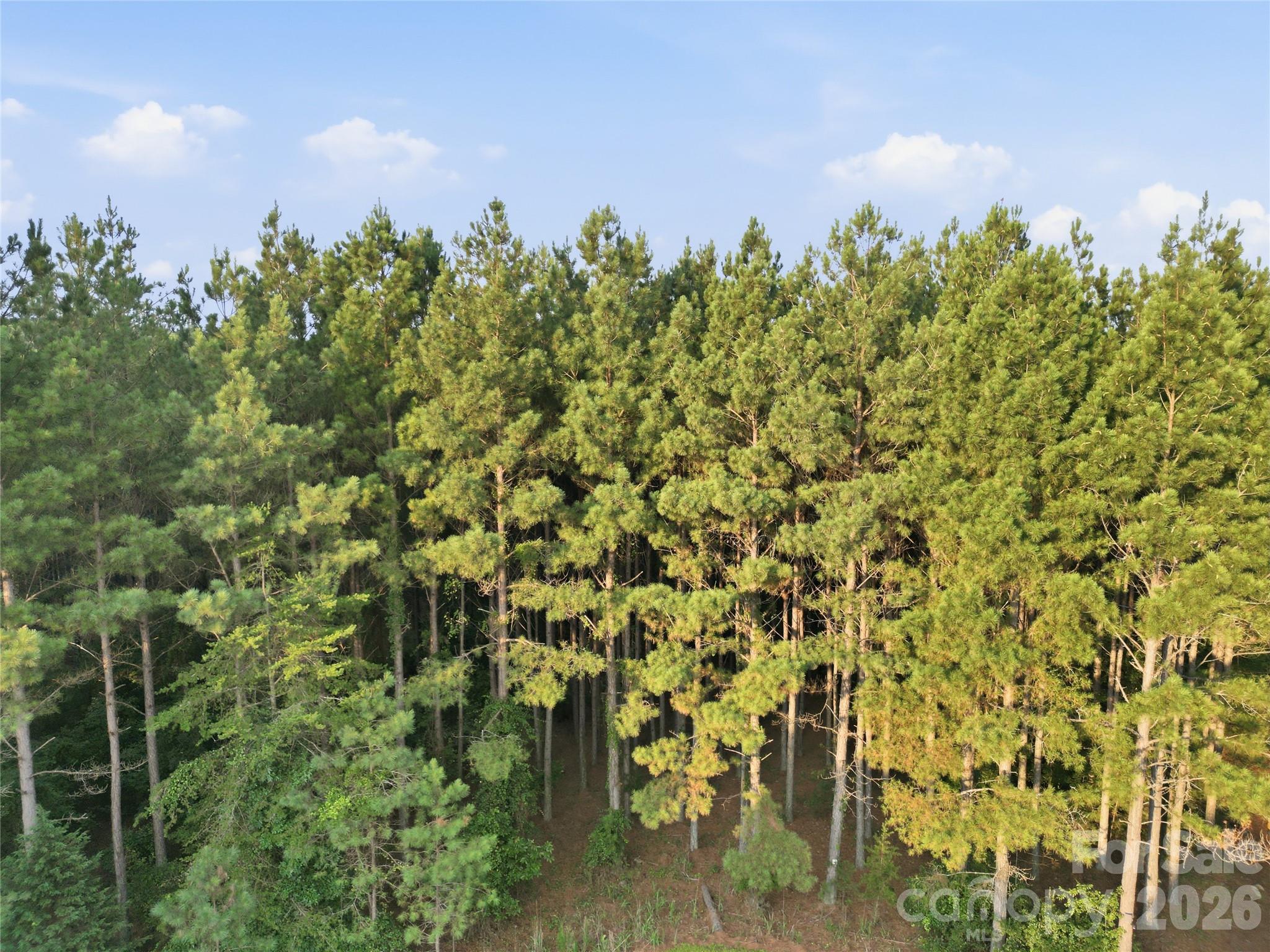 105 Stoney Brook Trail Property Photo 4