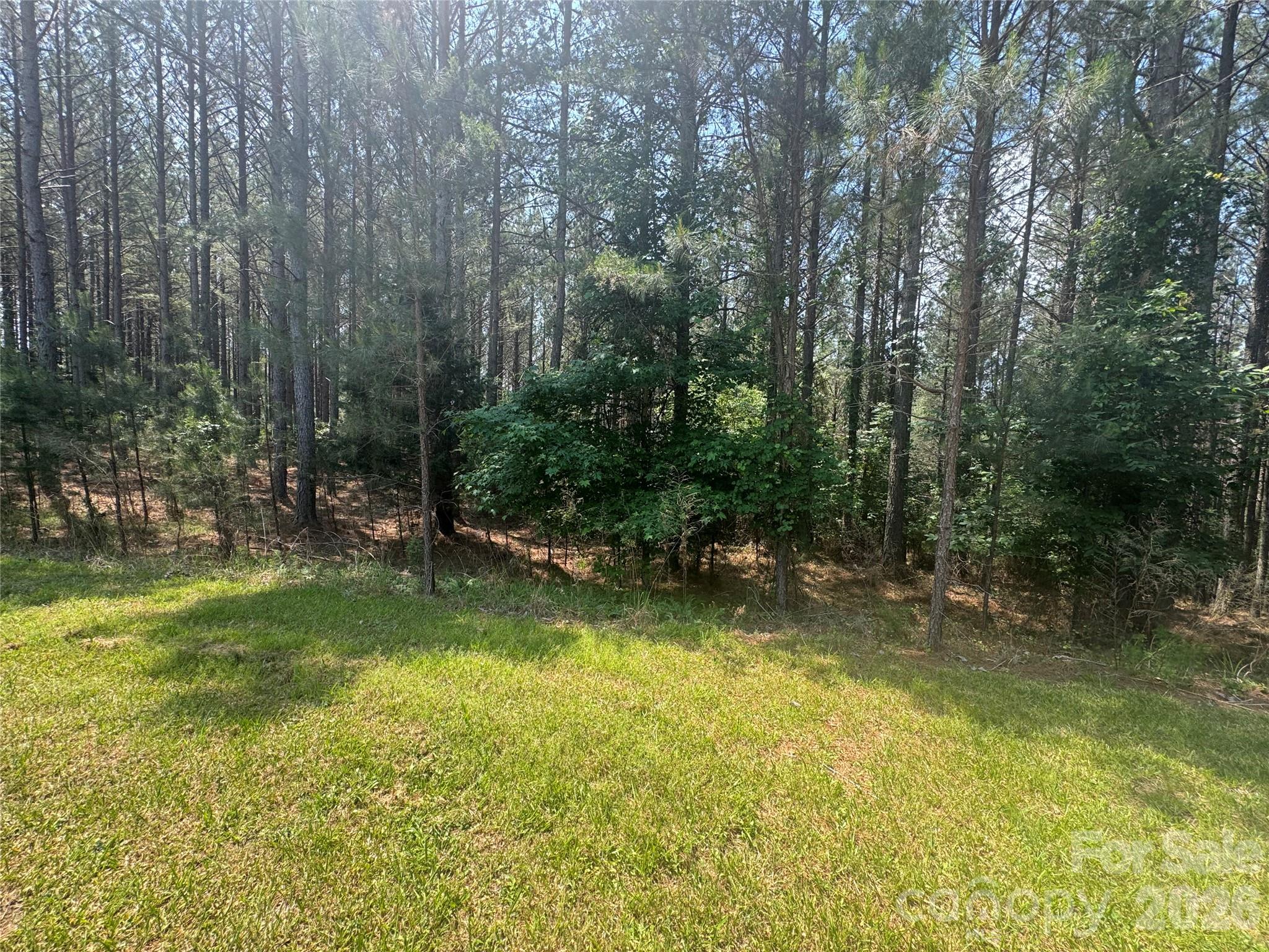 105 Stoney Brook Trail Property Photo 5