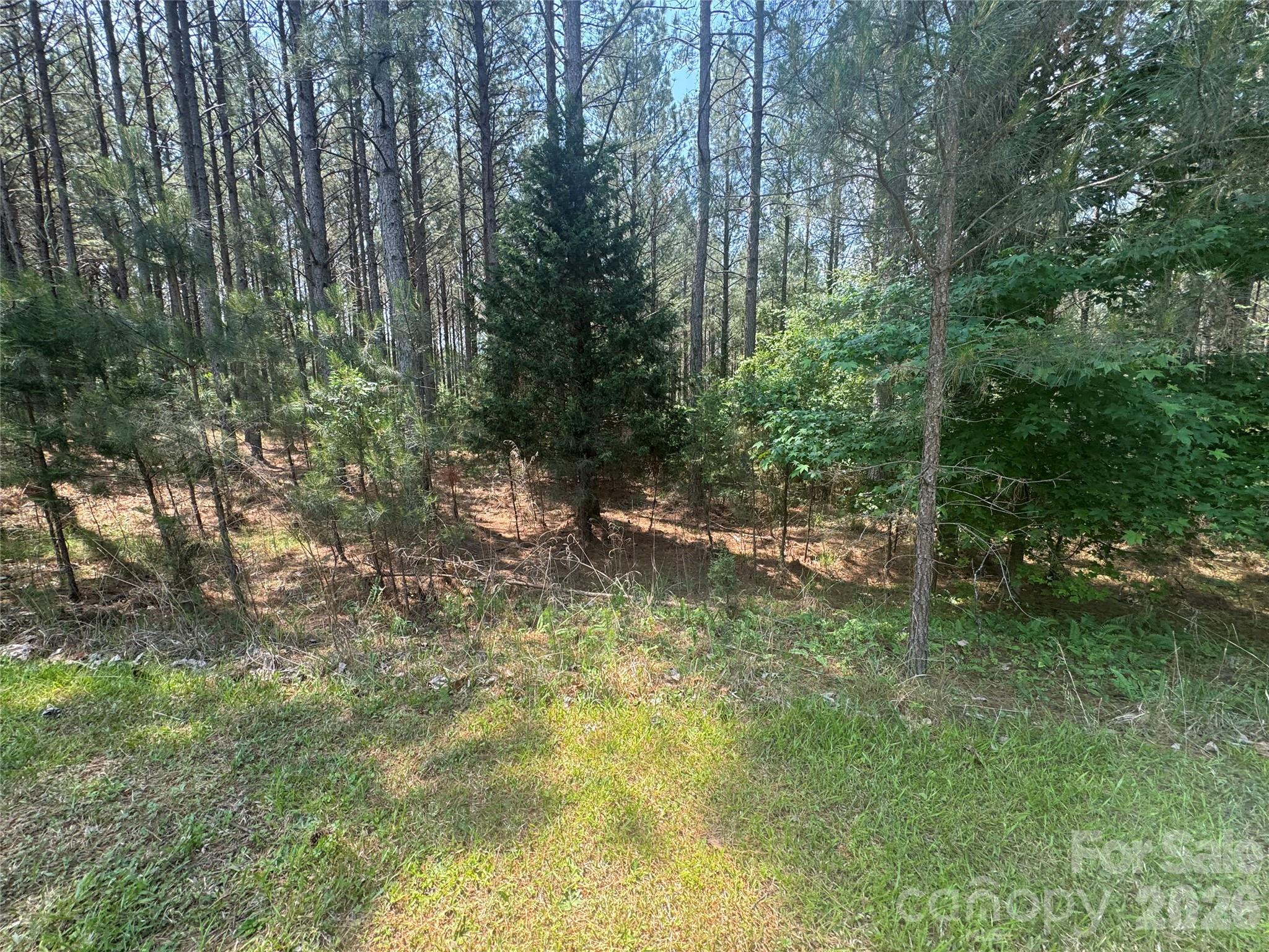 105 Stoney Brook Trail Property Photo 7