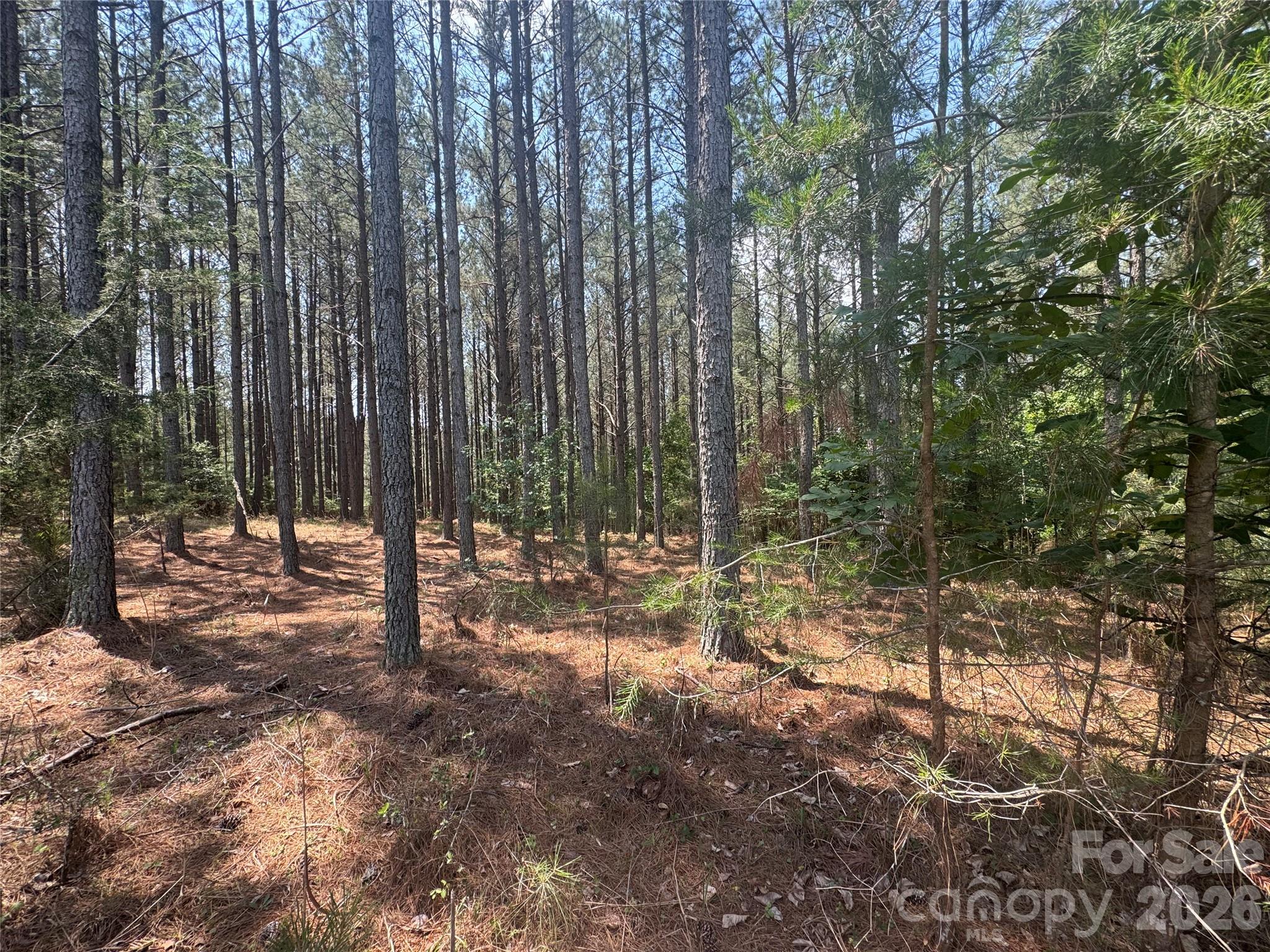 105 Stoney Brook Trail Property Photo 8