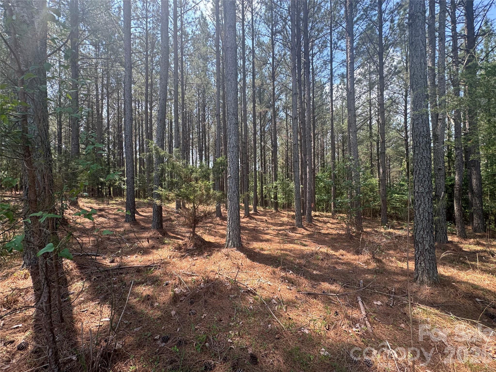 105 Stoney Brook Trail Property Photo 9