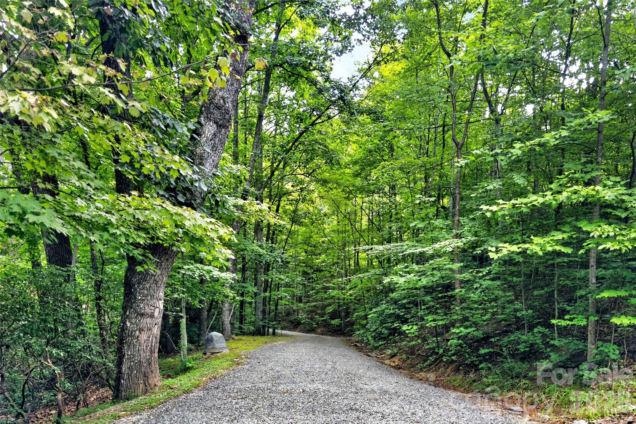 386 Wild Turkey Run Property Photo 46