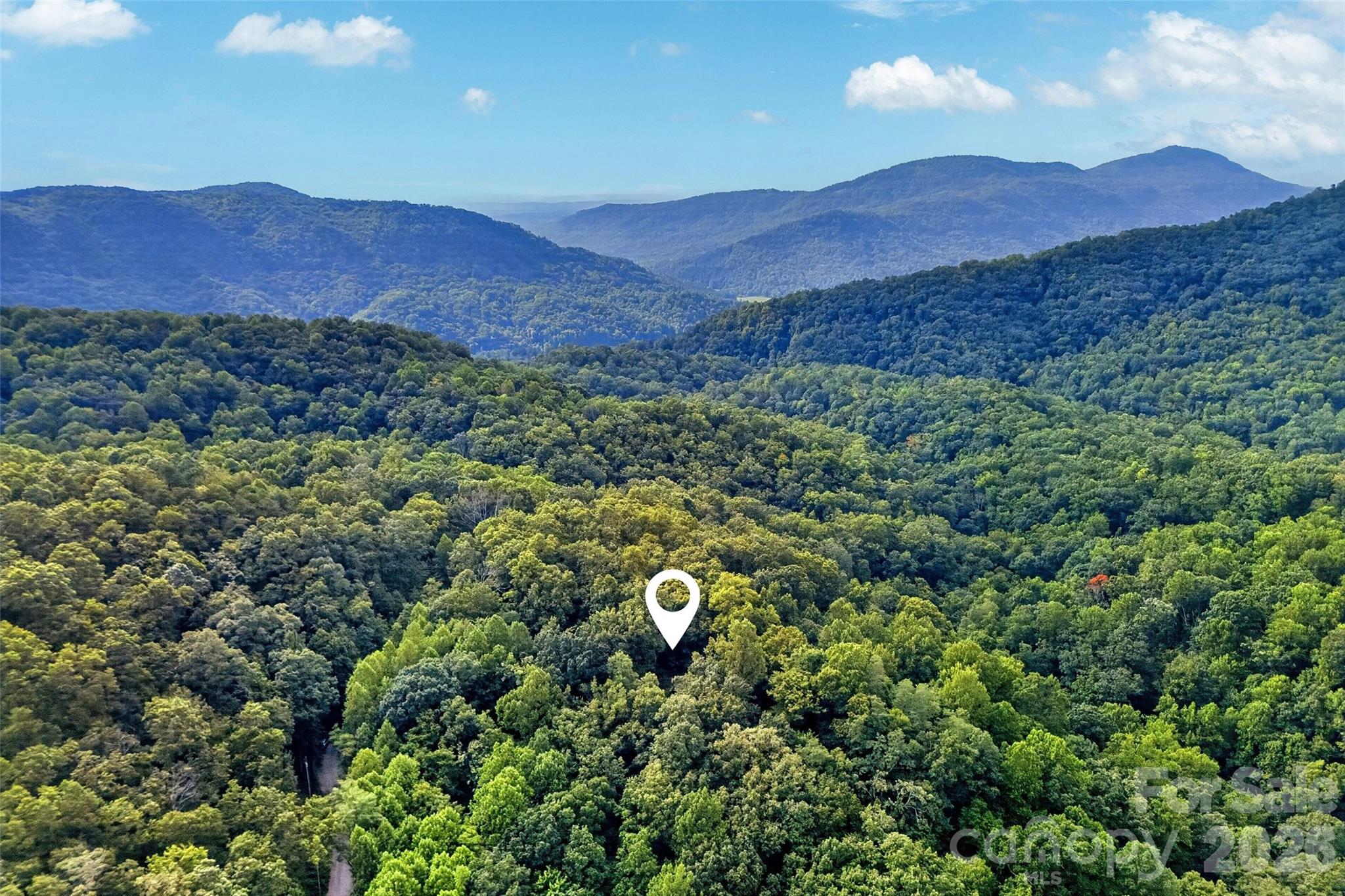 386 Wild Turkey Run Property Photo 47