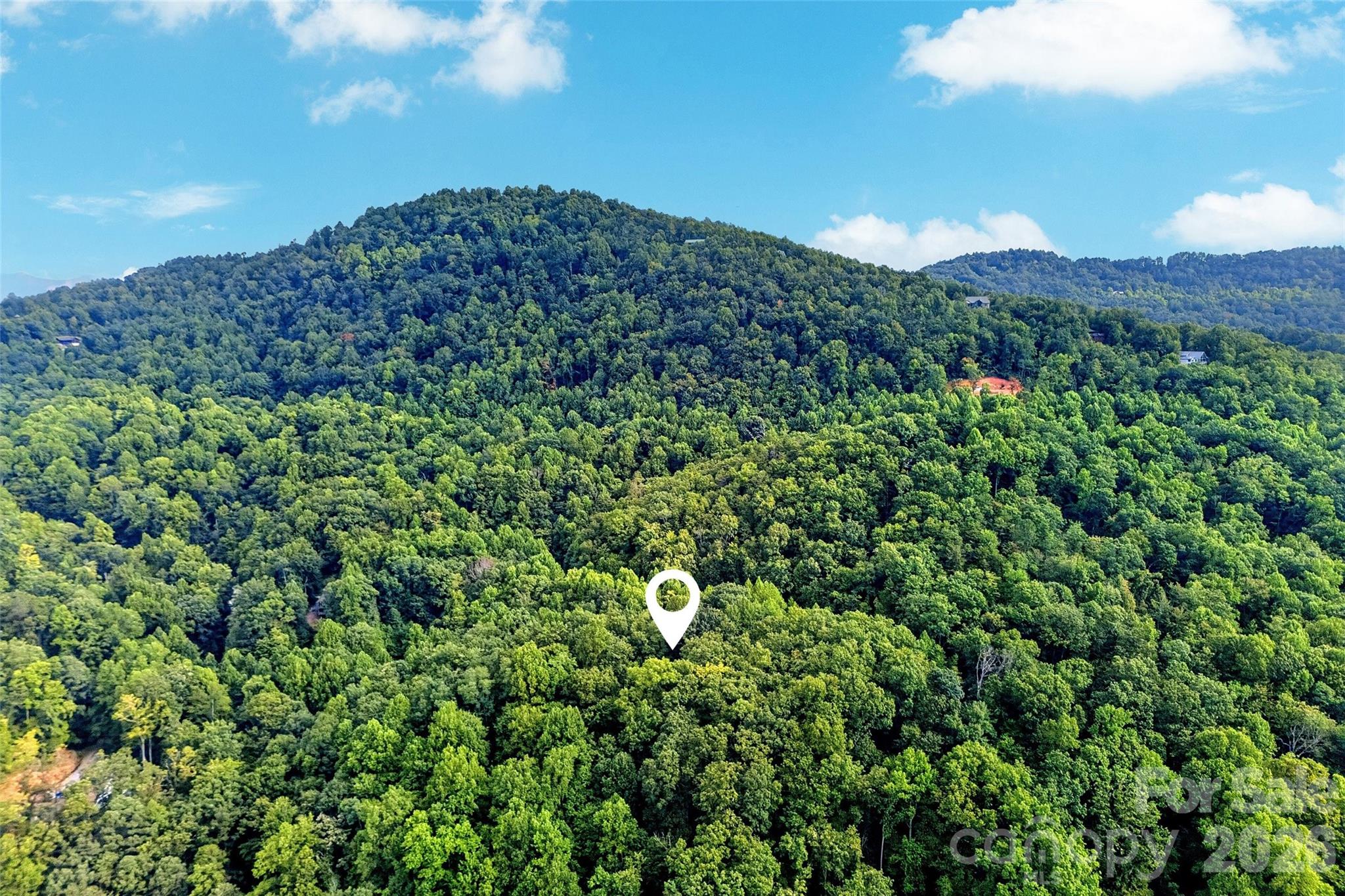 386 Wild Turkey Run Property Photo 48