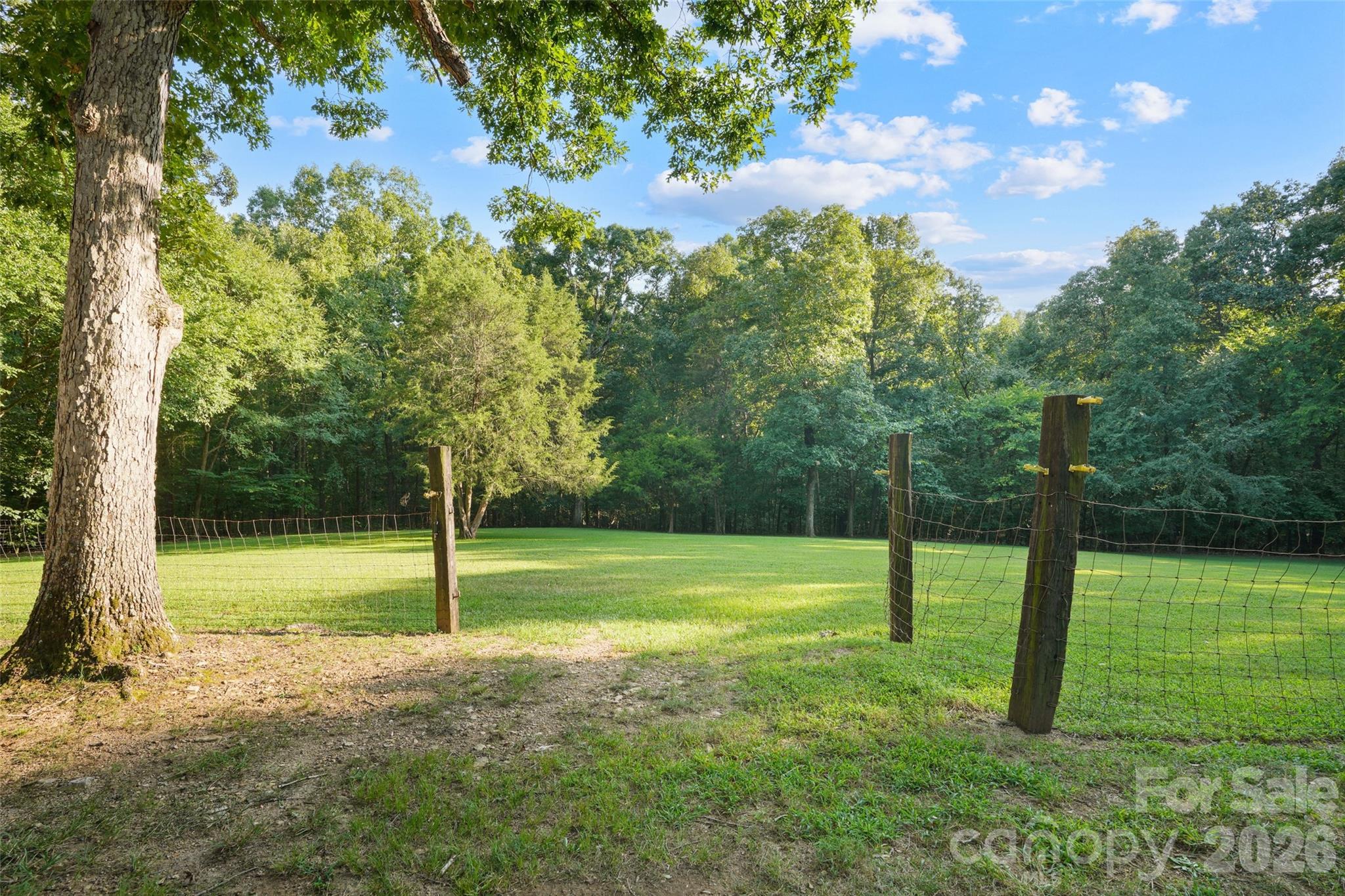 11626 Brief Road Property Photo 12