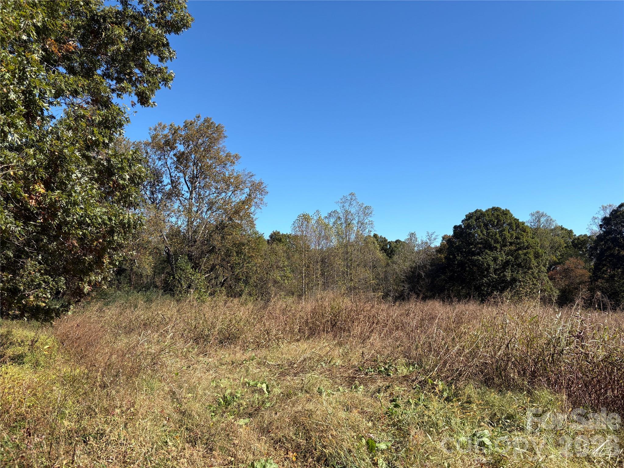 16 Ac Warren Bridge Road Property Photo 1