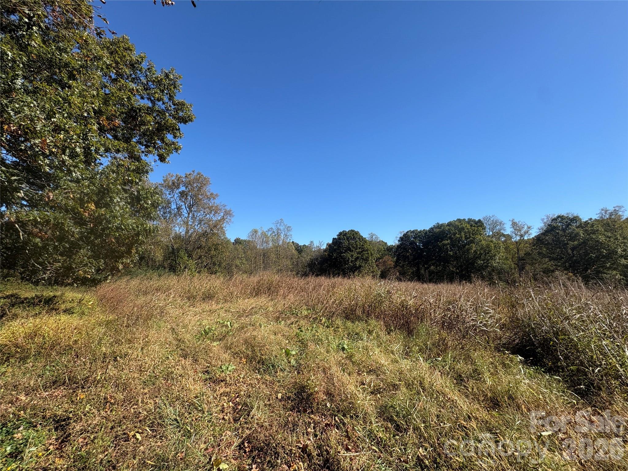 16 Ac Warren Bridge Road Property Photo 3