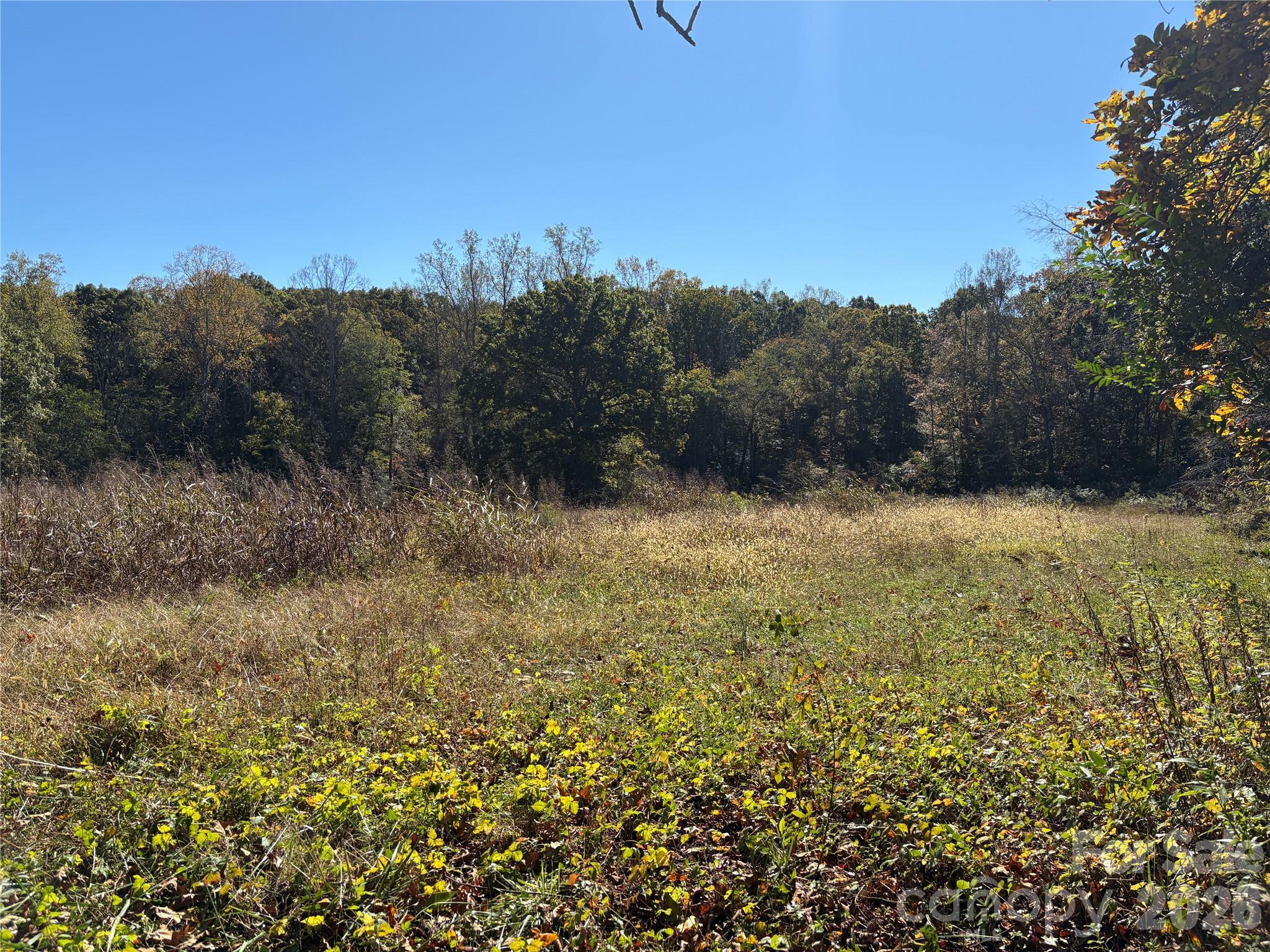 16 Ac Warren Bridge Road Property Photo 4