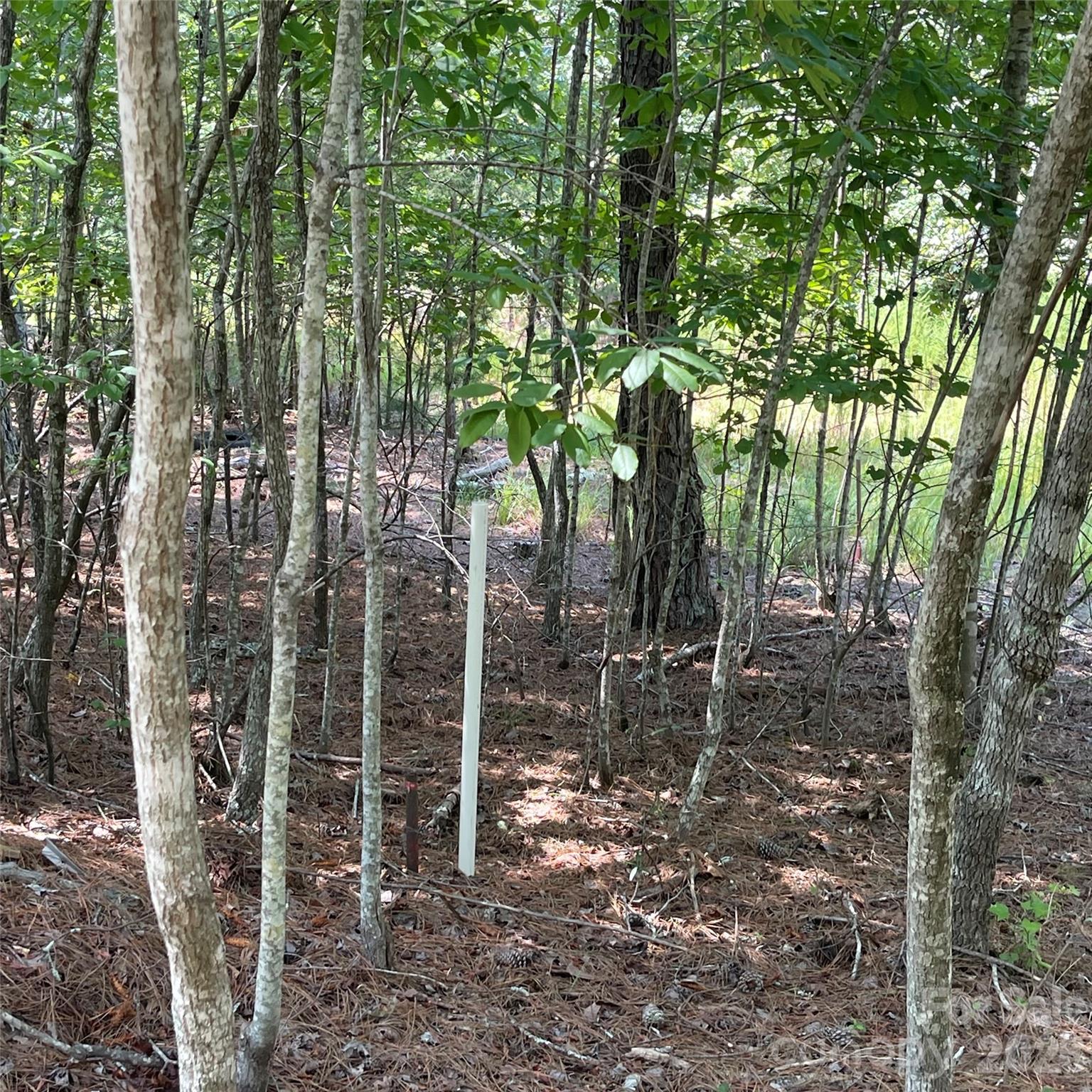 144 G T Wells Circle Circle Property Photo 6