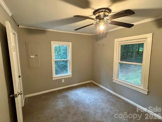 62 Kinard Lane Property Photo 15
