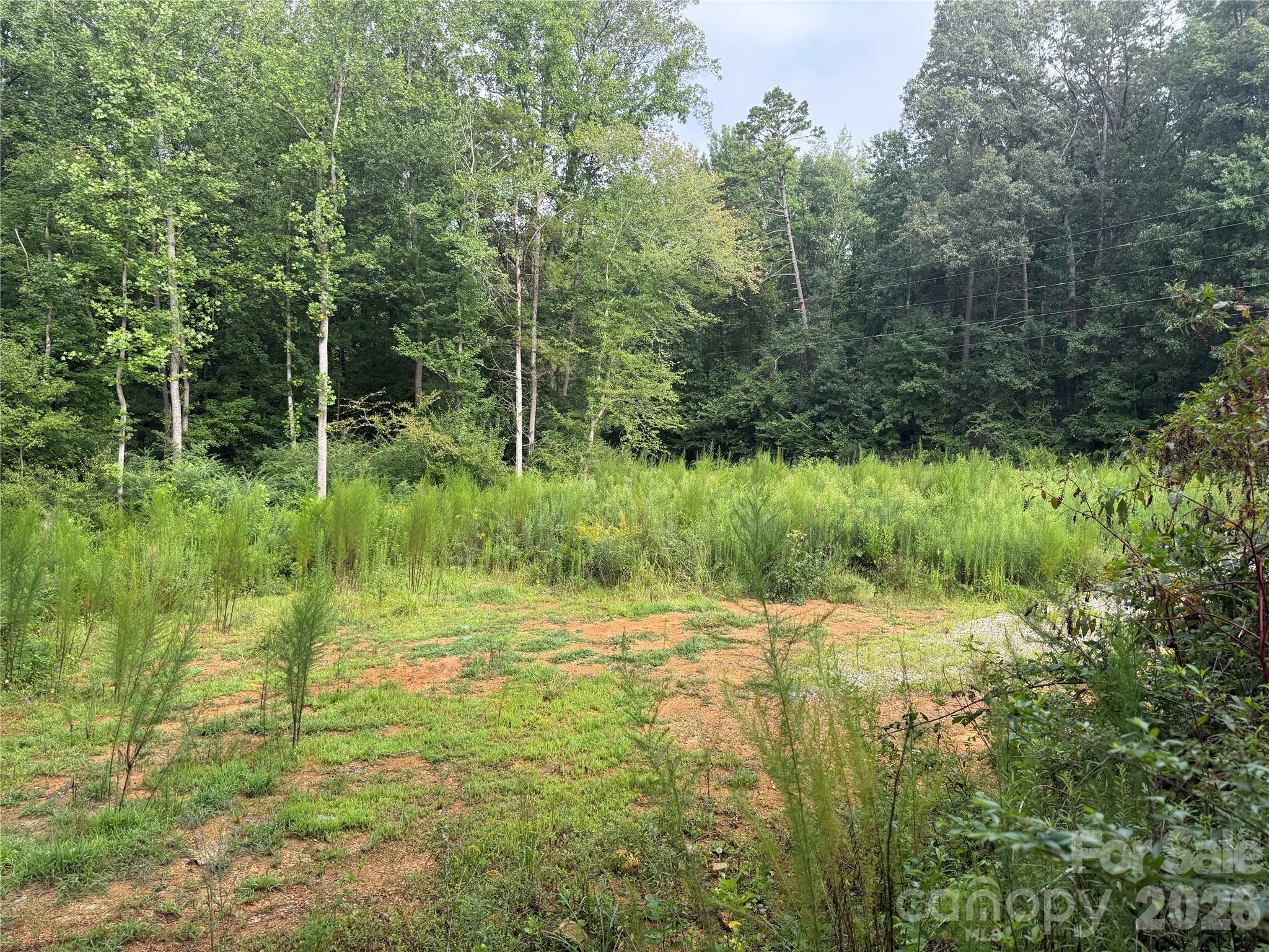 Tbd Sincerity Road Property Photo 2