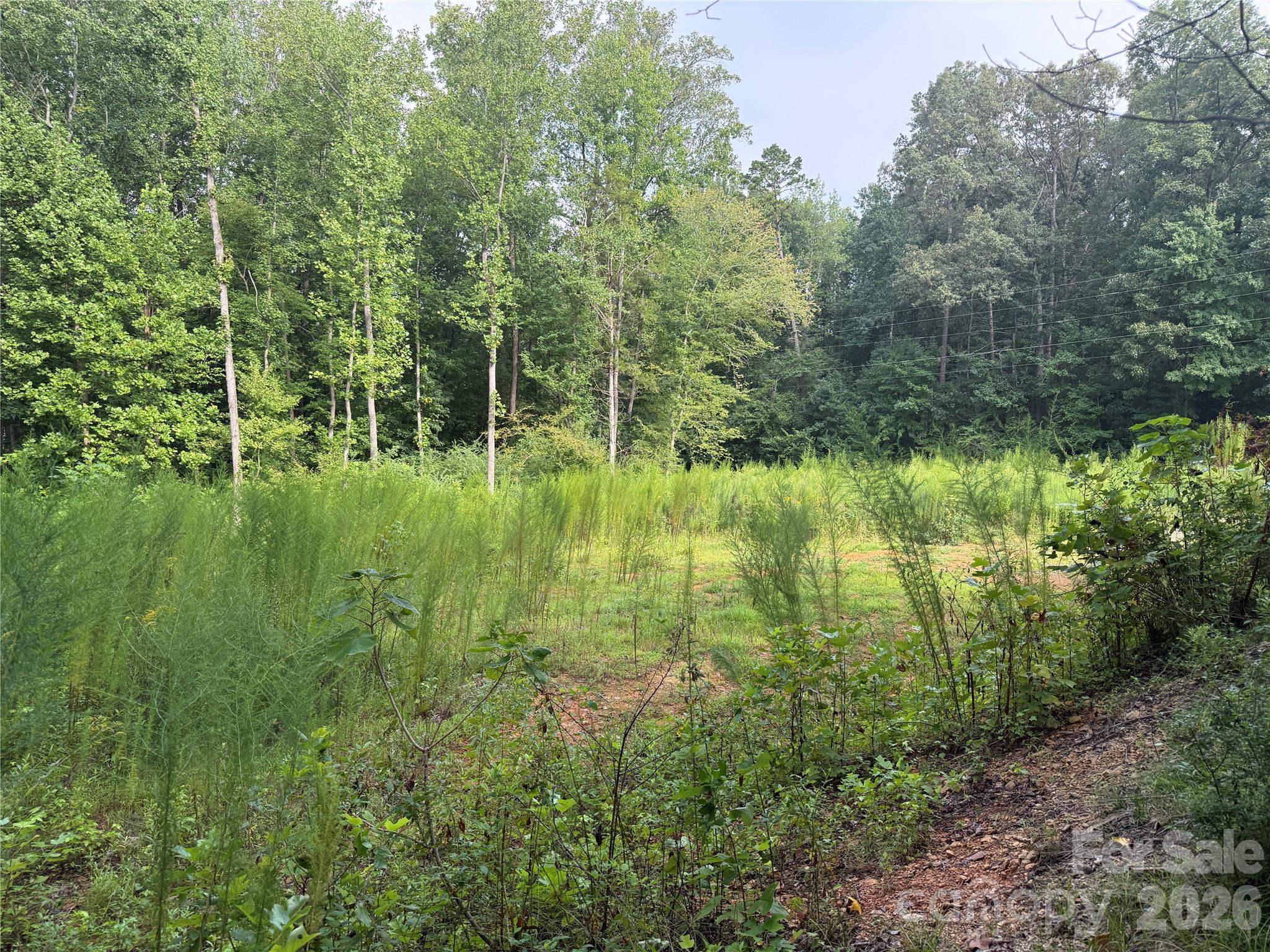 Tbd Sincerity Road Property Photo 5