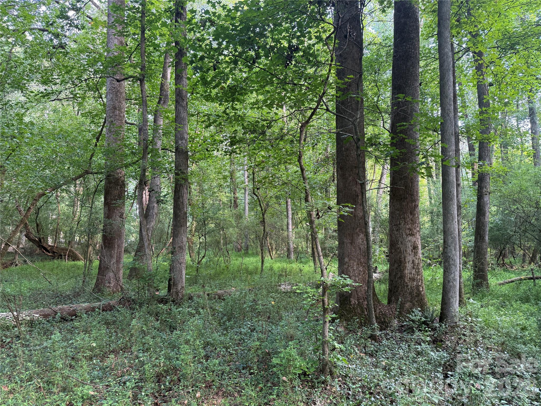 Tbd Sincerity Road Property Photo 6